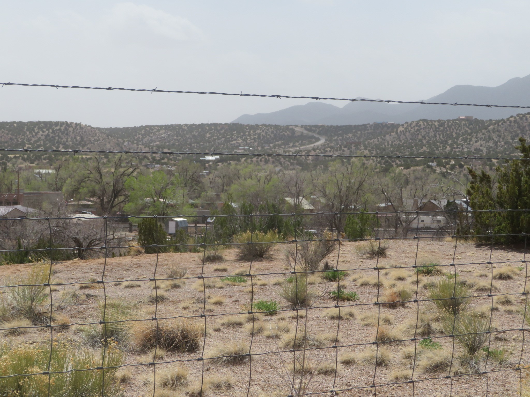 Yerba Buena, Cerrillos, New Mexico image 6