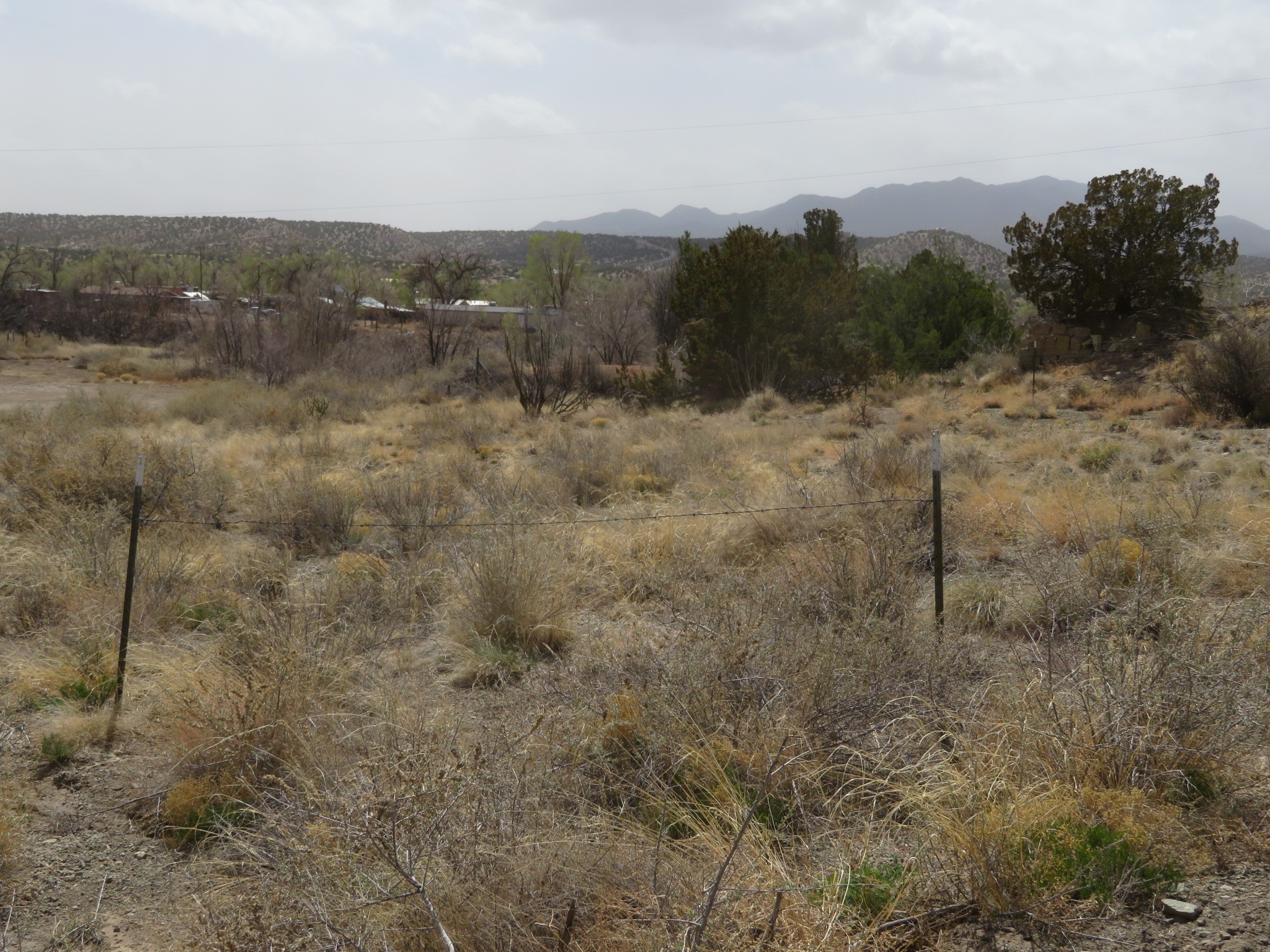 Yerba Buena, Cerrillos, New Mexico image 3