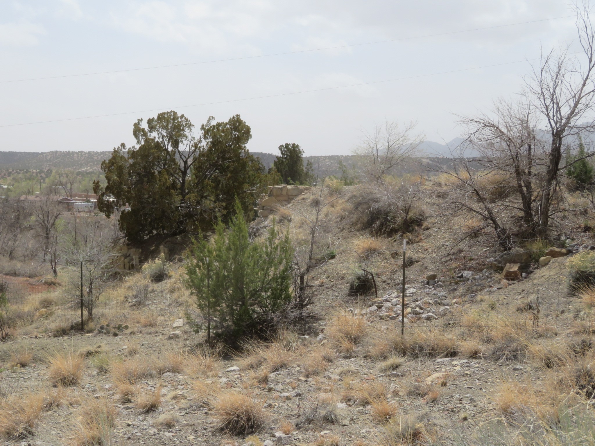 Yerba Buena, Cerrillos, New Mexico image 4