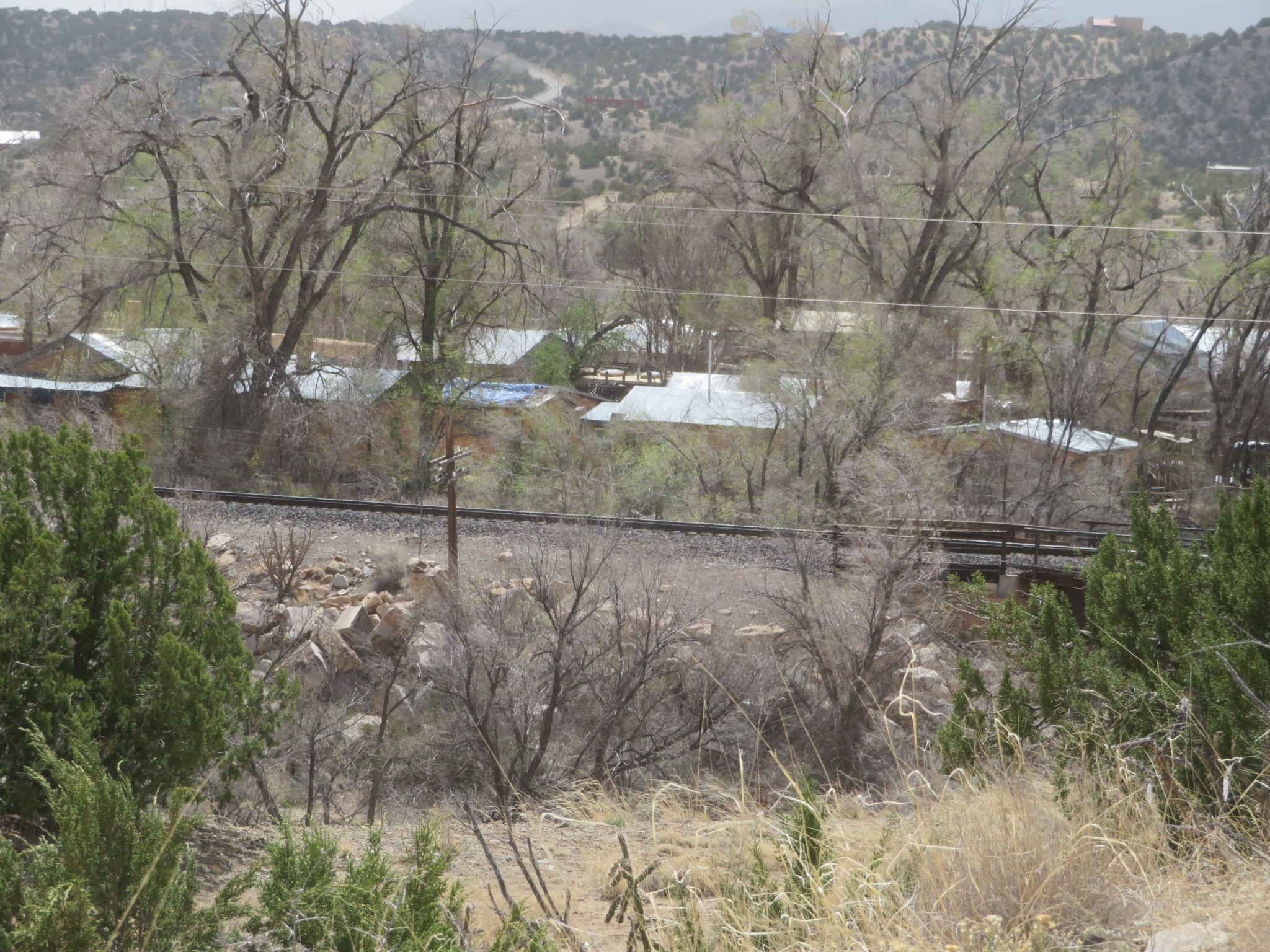 Yerba Buena, Cerrillos, New Mexico image 11