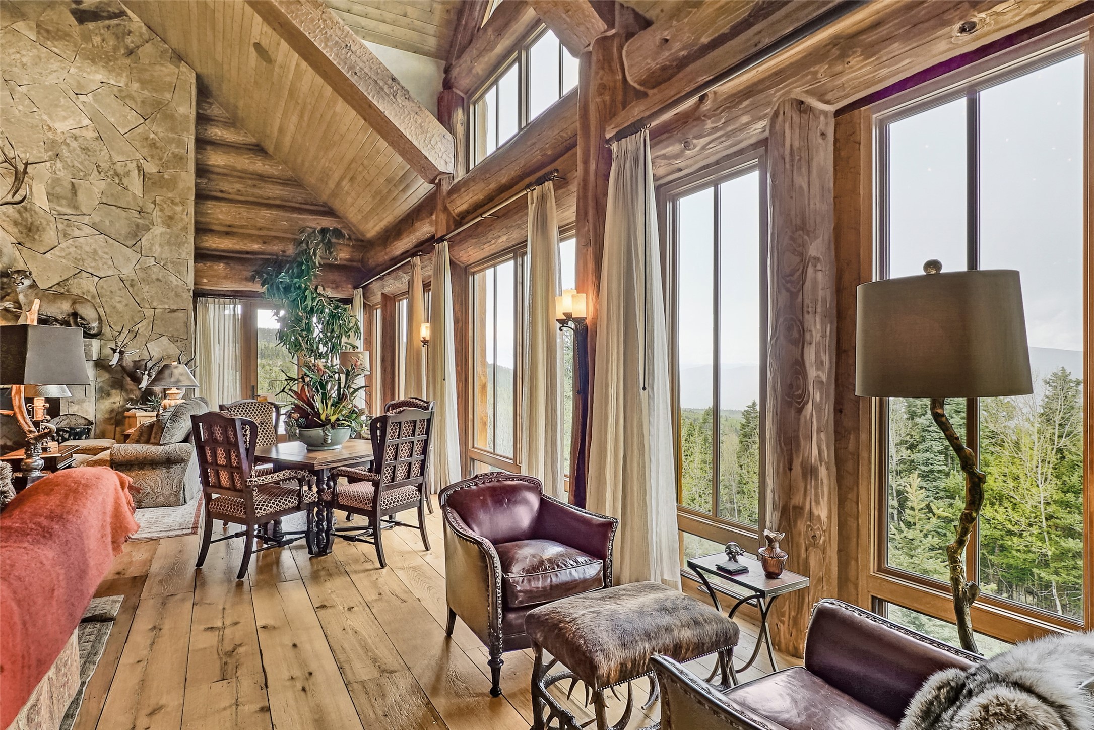 157 Mertz Place, Angel Fire, New Mexico image 4