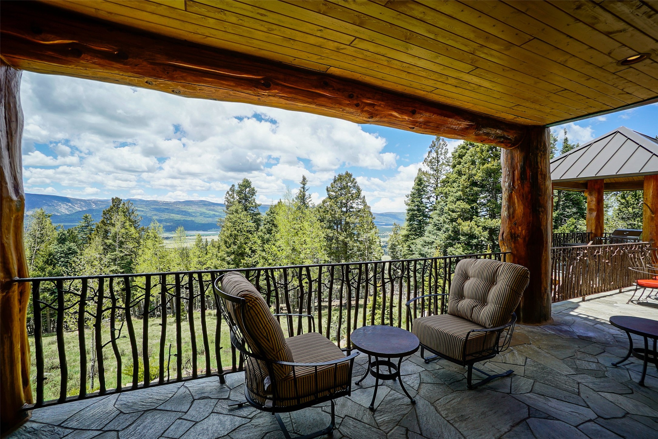 157 Mertz Place, Angel Fire, New Mexico image 23