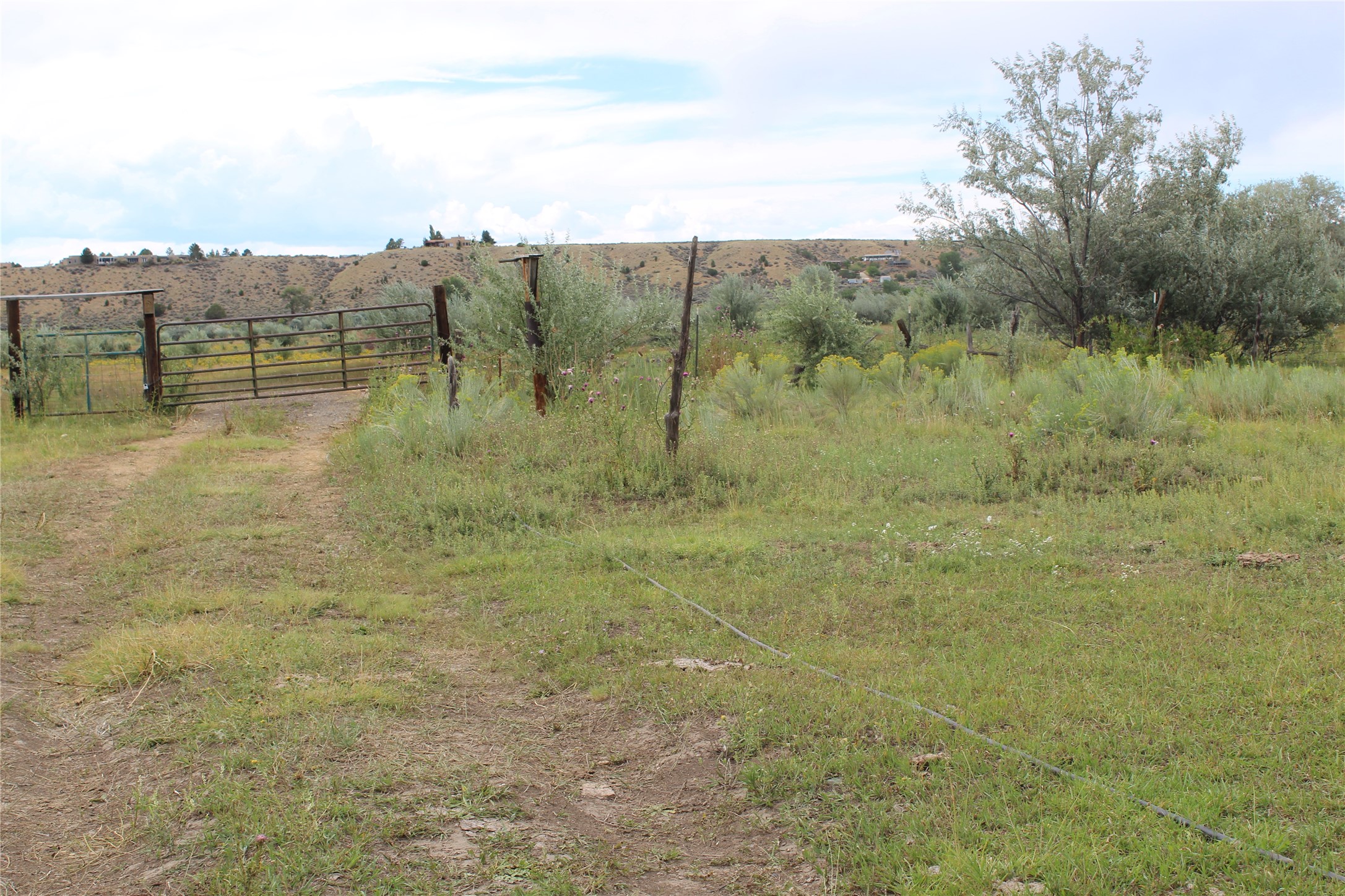 La Senisa Road, Taos, New Mexico image 16