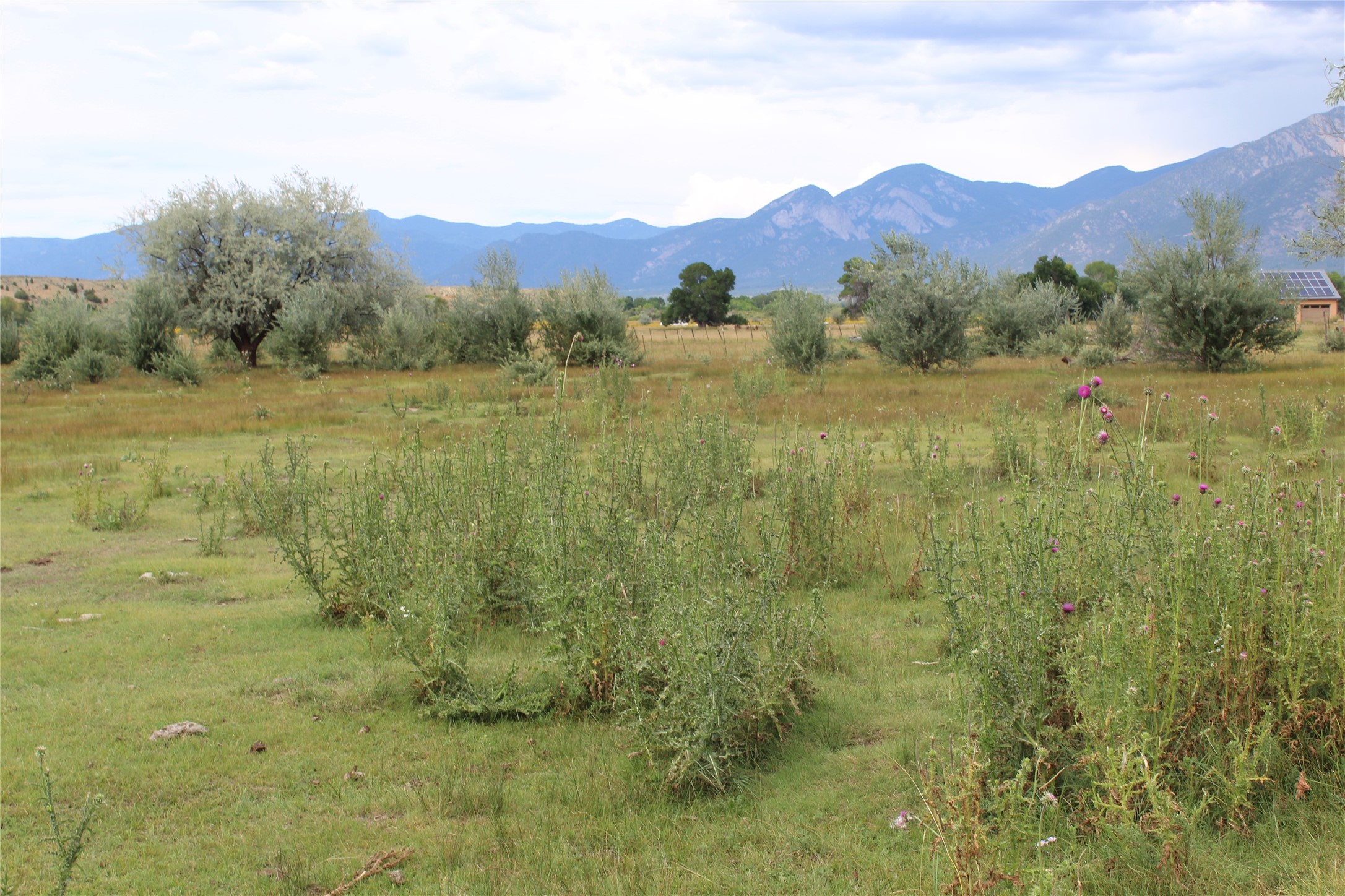 La Senisa Road, Taos, New Mexico image 42