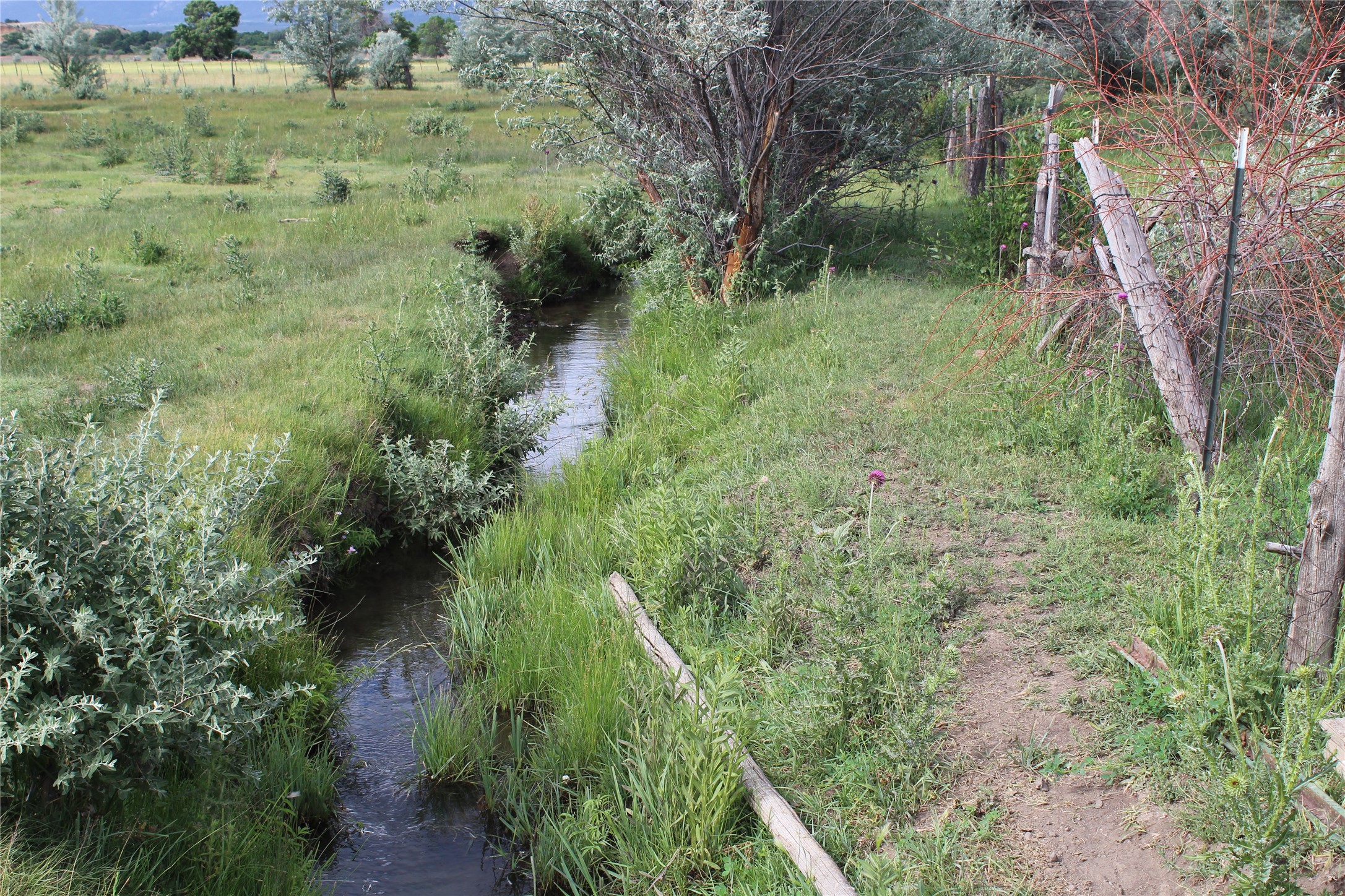 La Senisa Road, Taos, New Mexico image 24