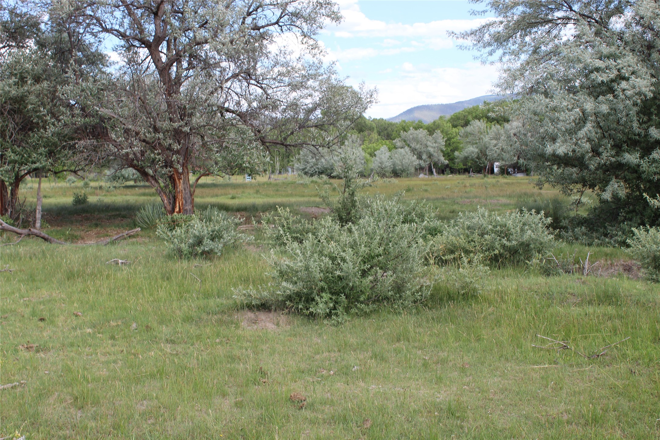 La Senisa Road, Taos, New Mexico image 32