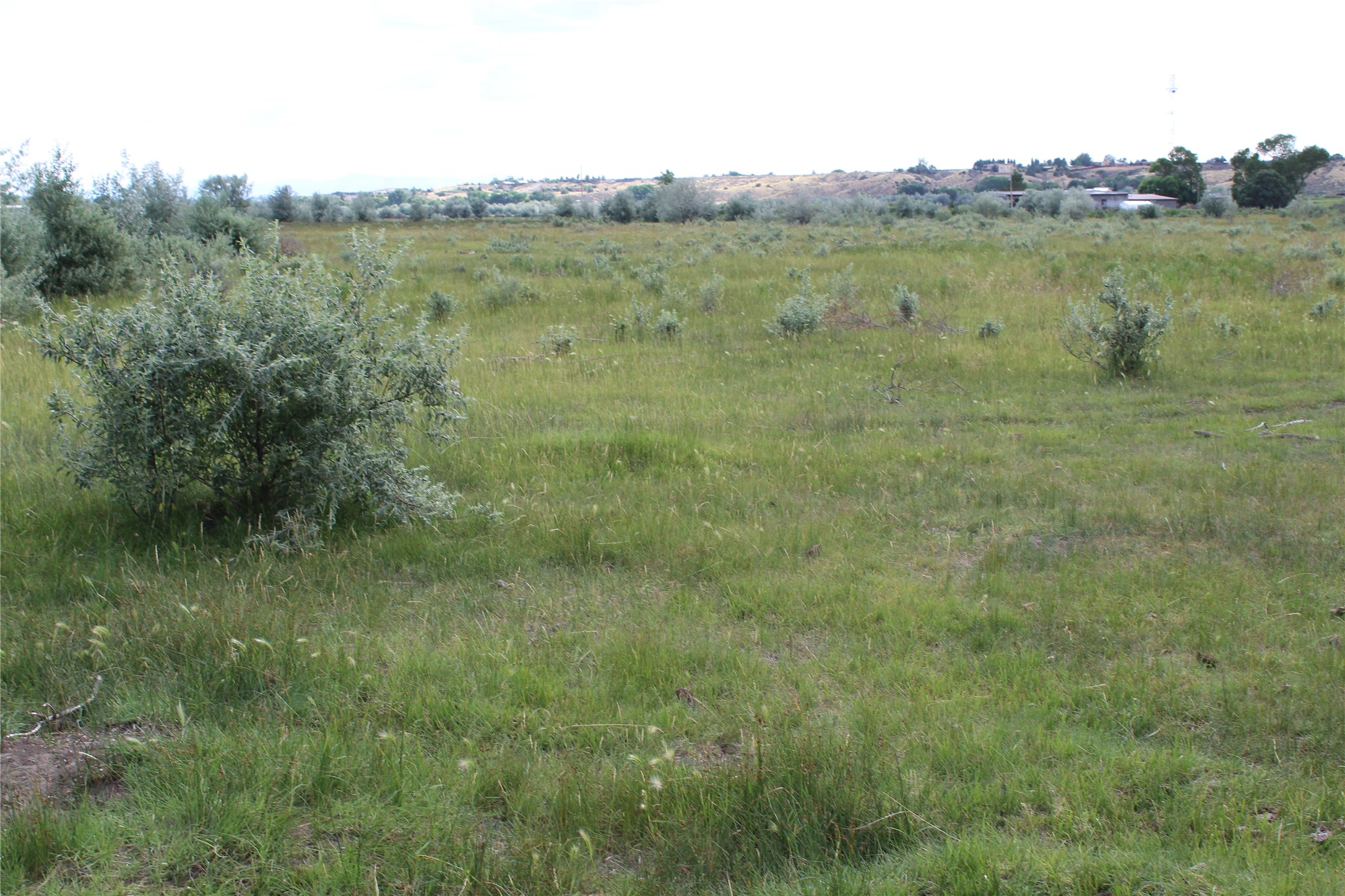 La Senisa Road, Taos, New Mexico image 33