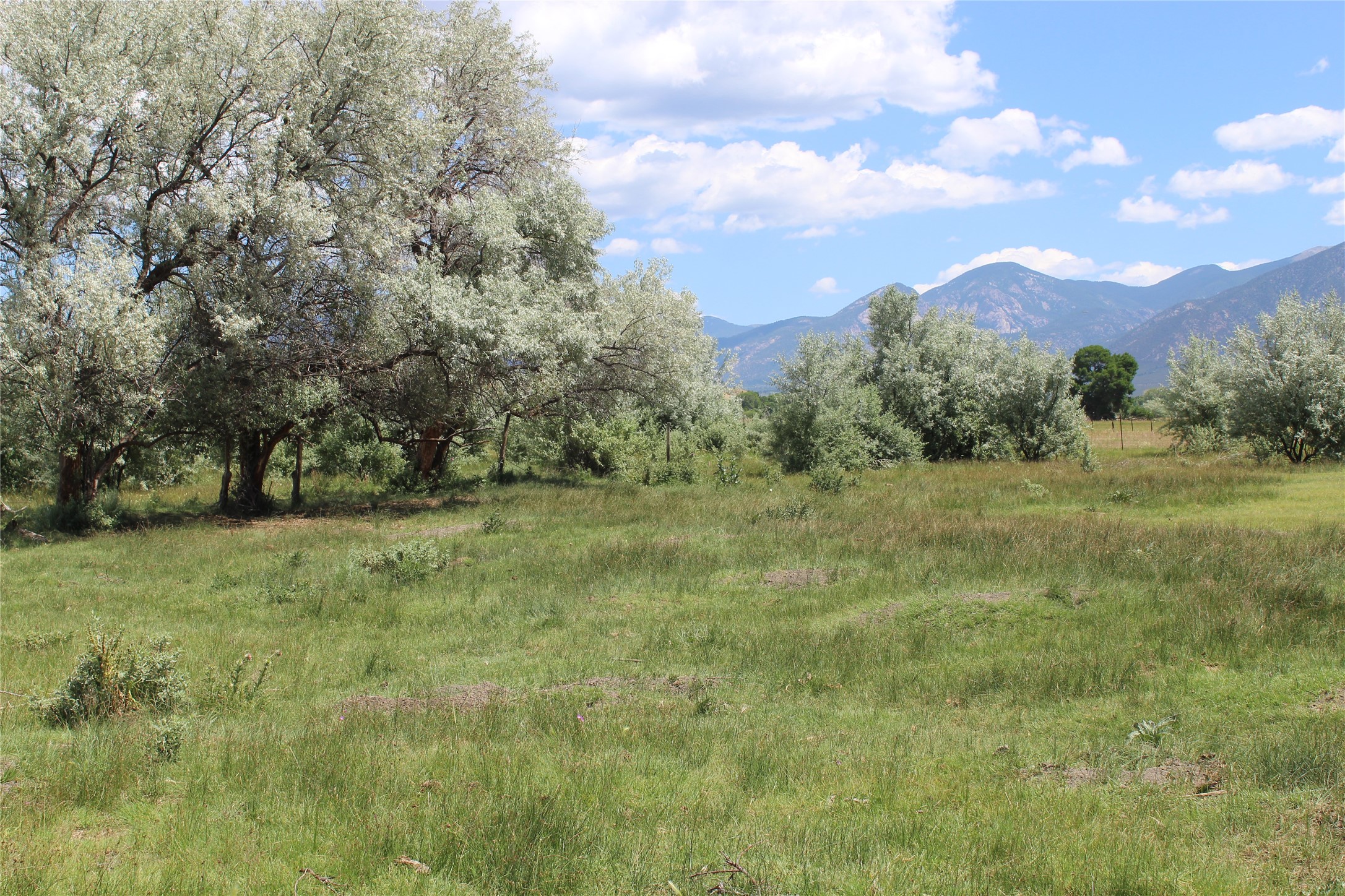 La Senisa Road, Taos, New Mexico image 38