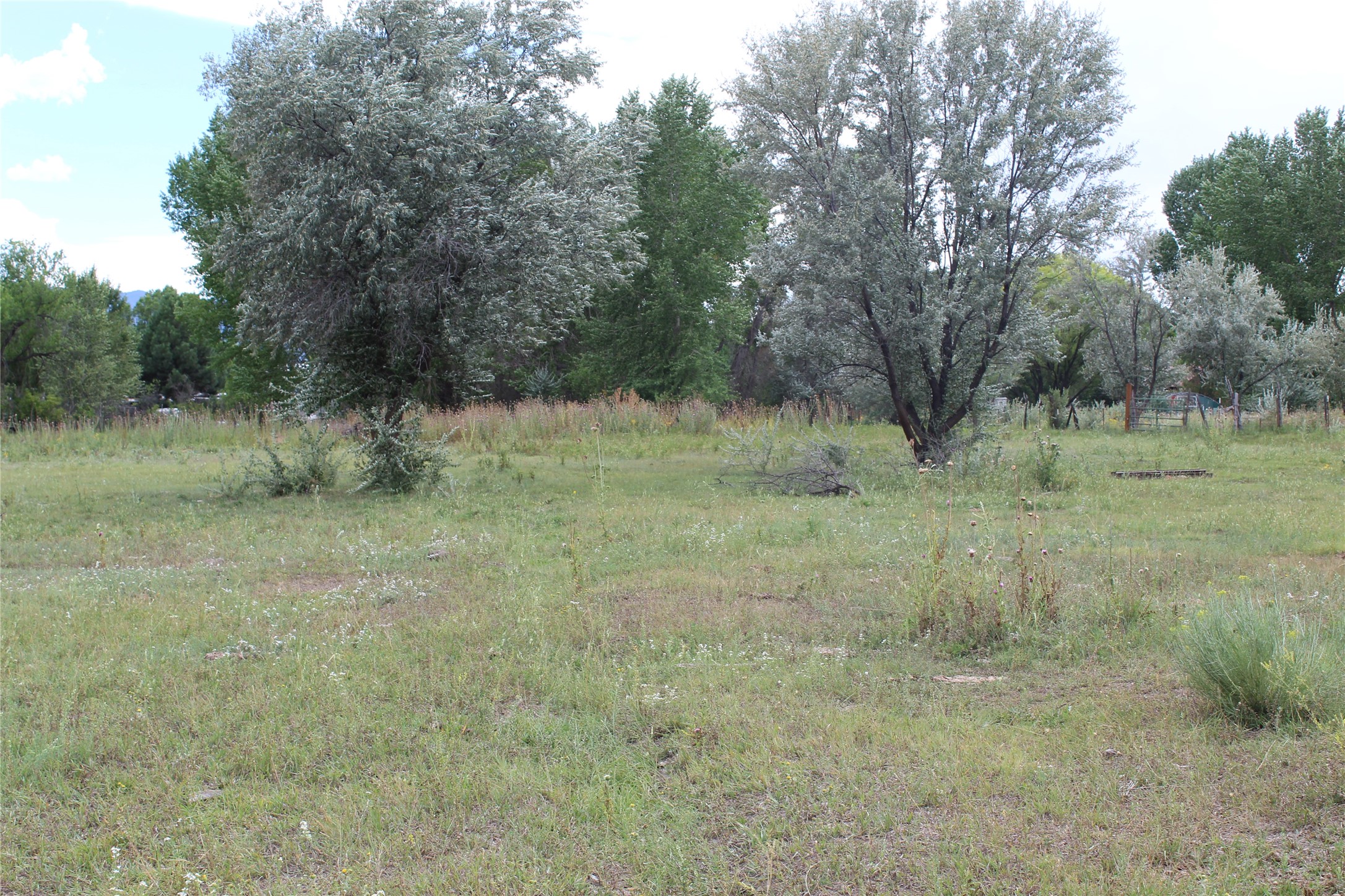 La Senisa Road, Taos, New Mexico image 18