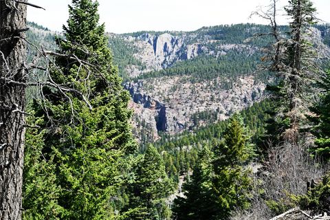 Vacant Land For Sale - 00 Ticonderoga Dr<br/> Rio Arriba County, Chama, NM 87520