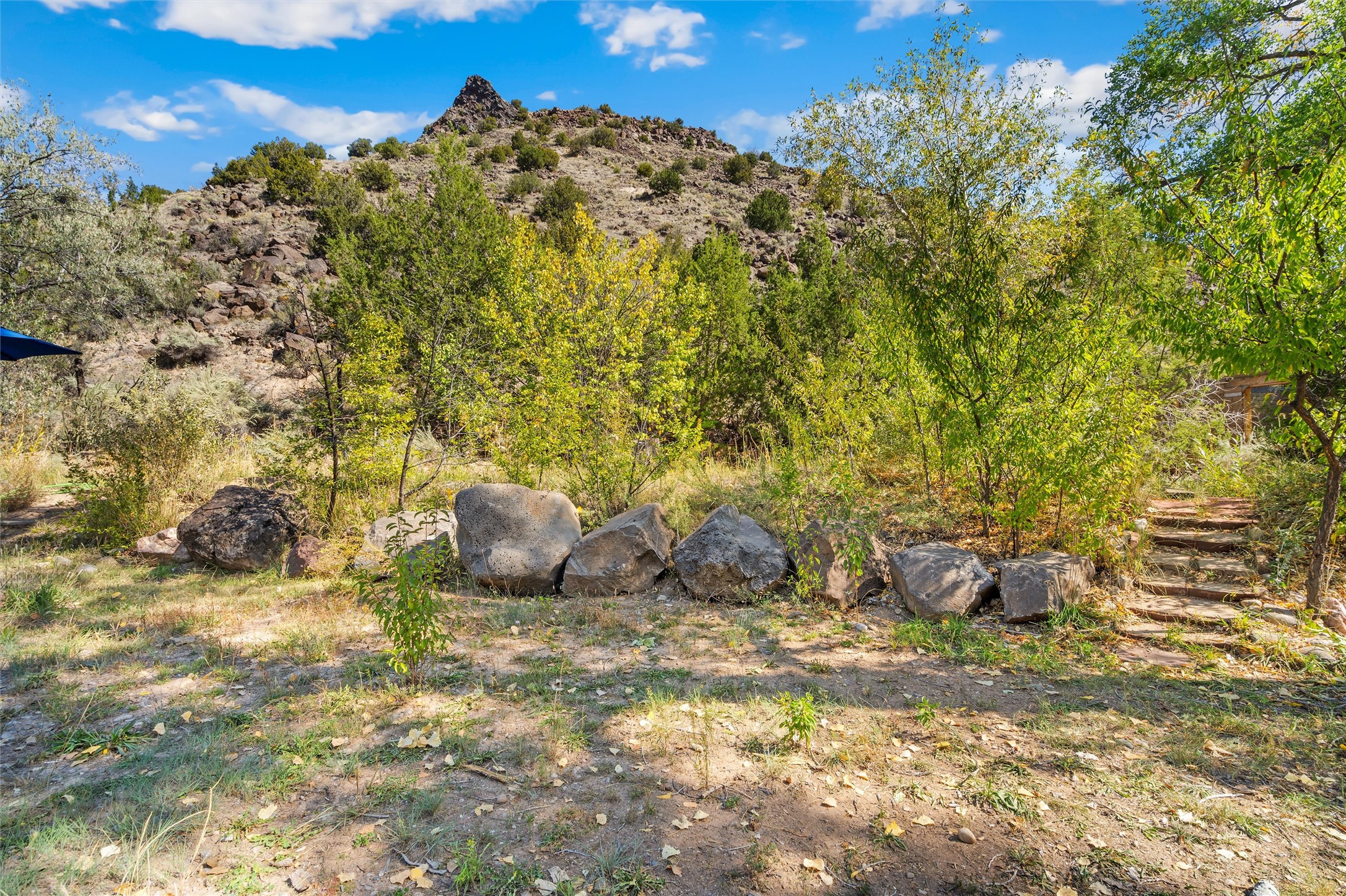 19 County Road 62, Embudo, New Mexico image 47