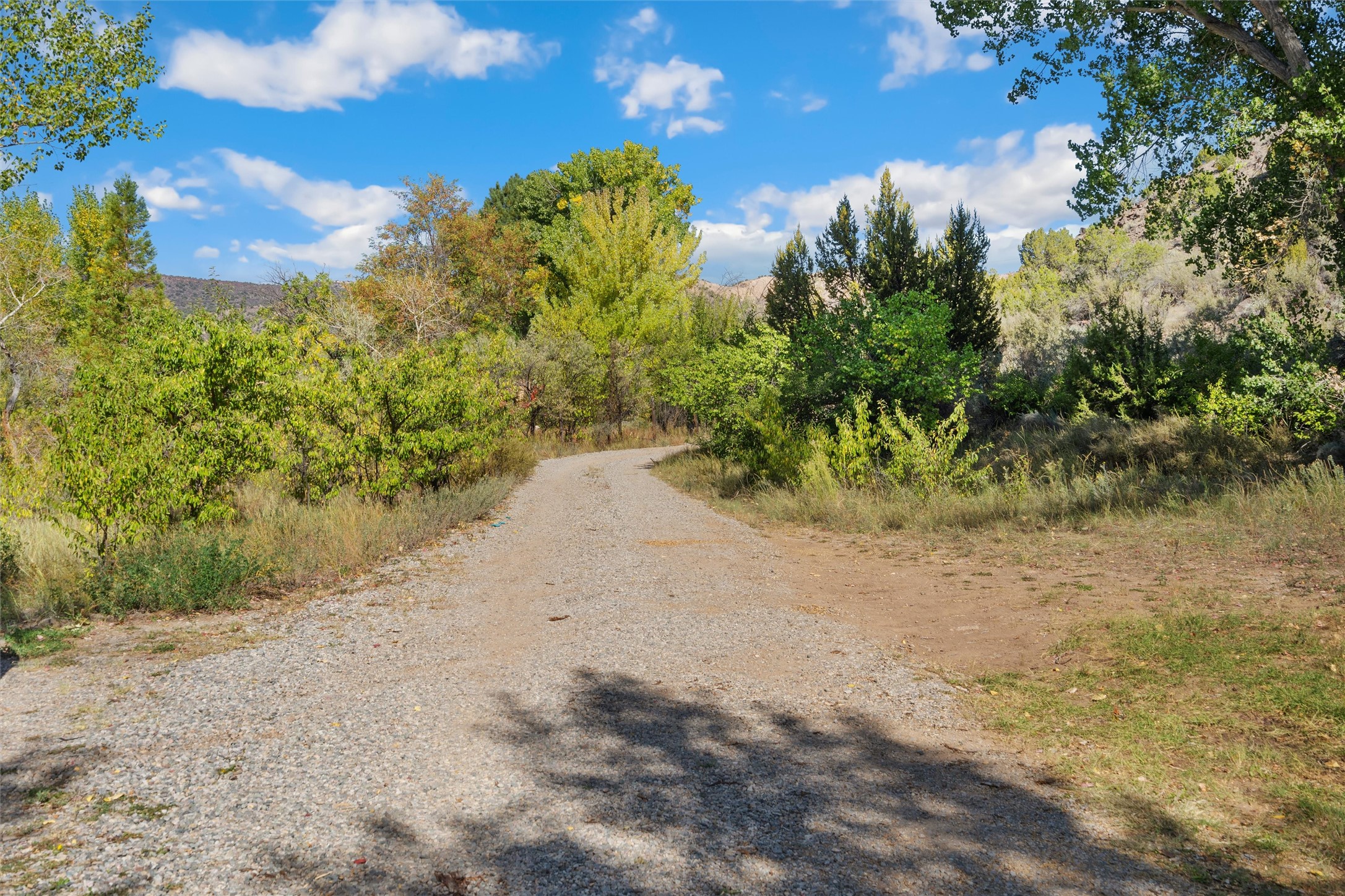 19 County Road 62, Embudo, New Mexico image 3