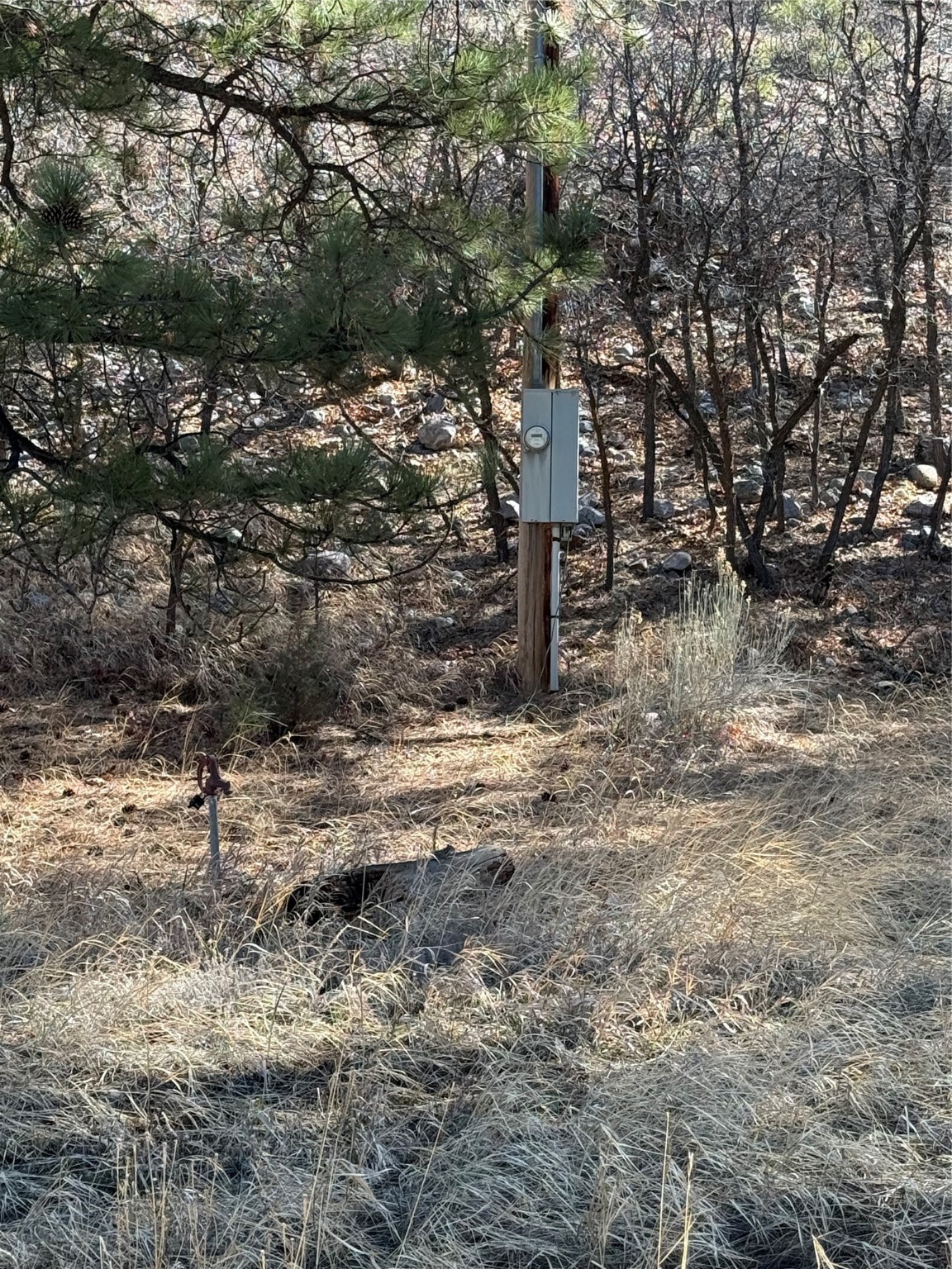 Nmsr 512, Chama, New Mexico image 2