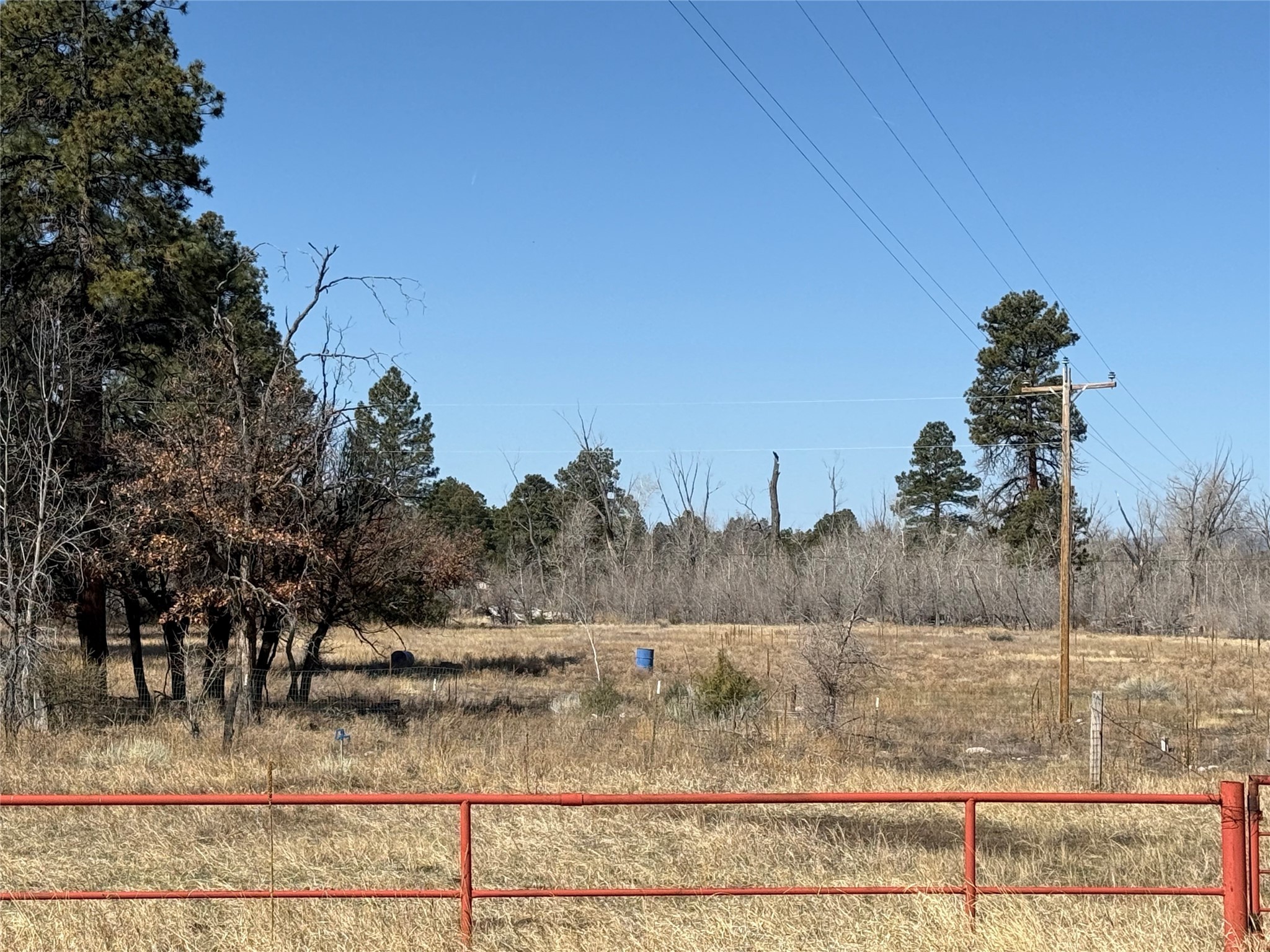 Nmsr 512, Chama, New Mexico image 5