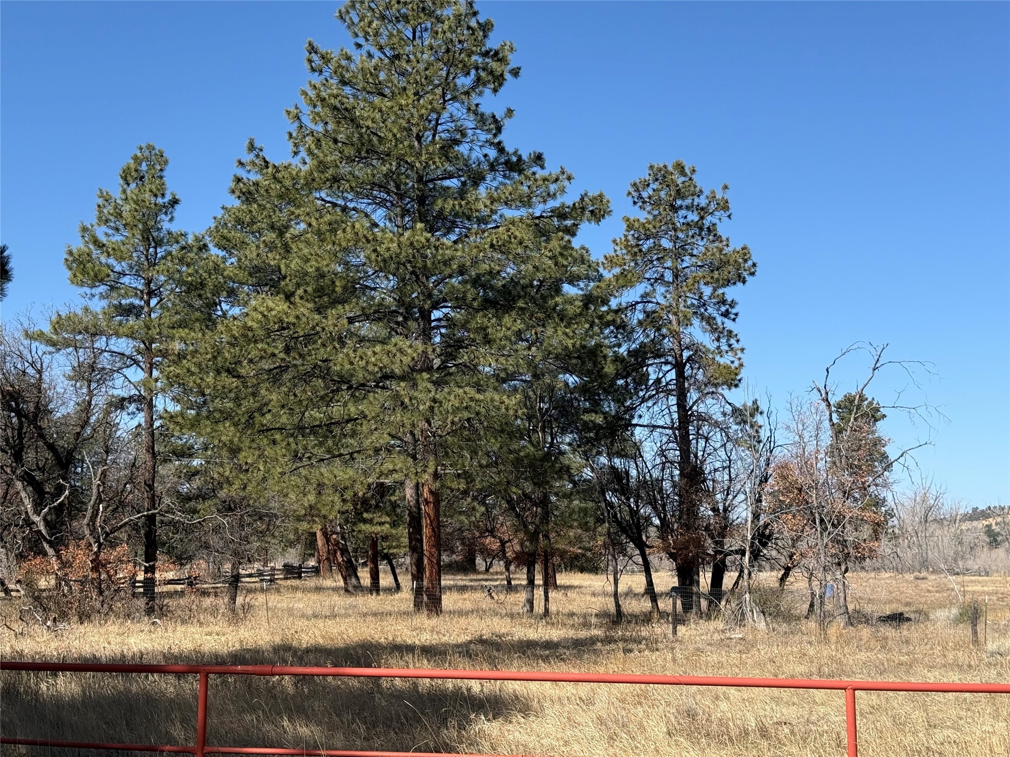 Nmsr 512, Chama, New Mexico image 4