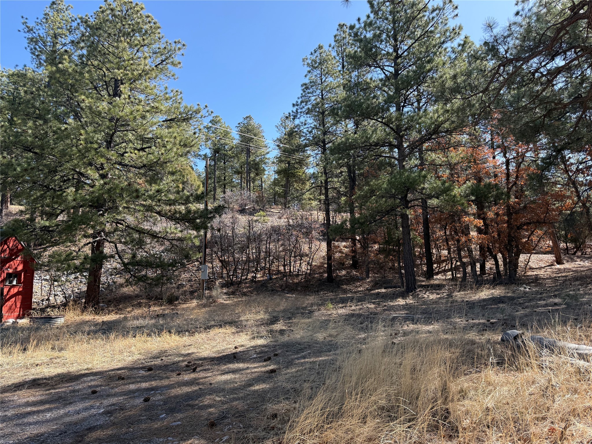 Nmsr 512, Chama, New Mexico image 1