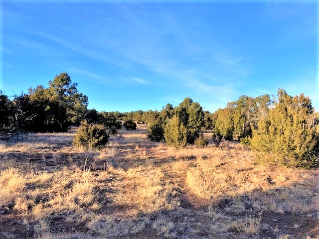 Lot 4 Cr A20, Las Vegas, New Mexico image 13