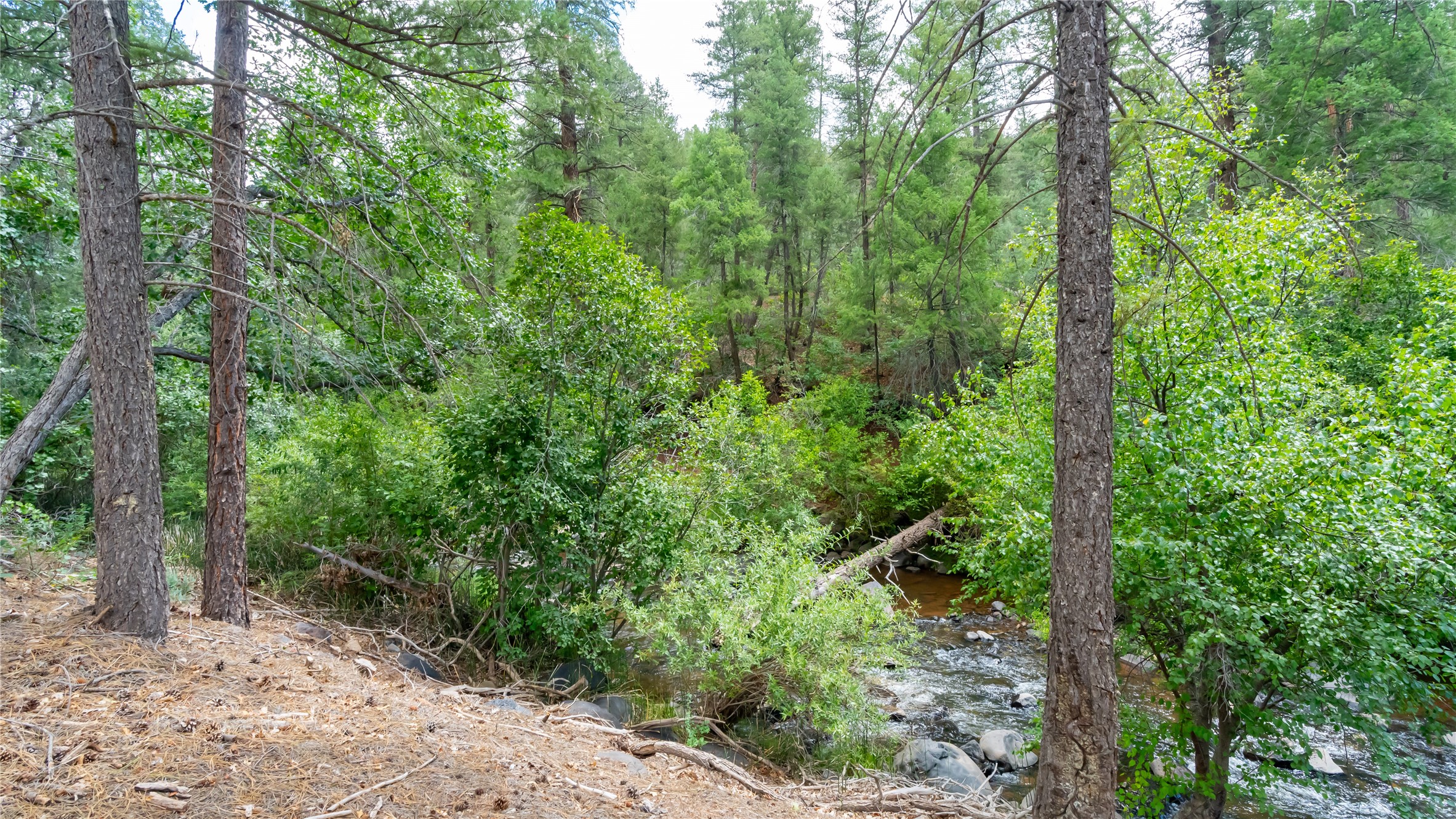 21374 Highway 4, Jemez Springs, New Mexico image 35