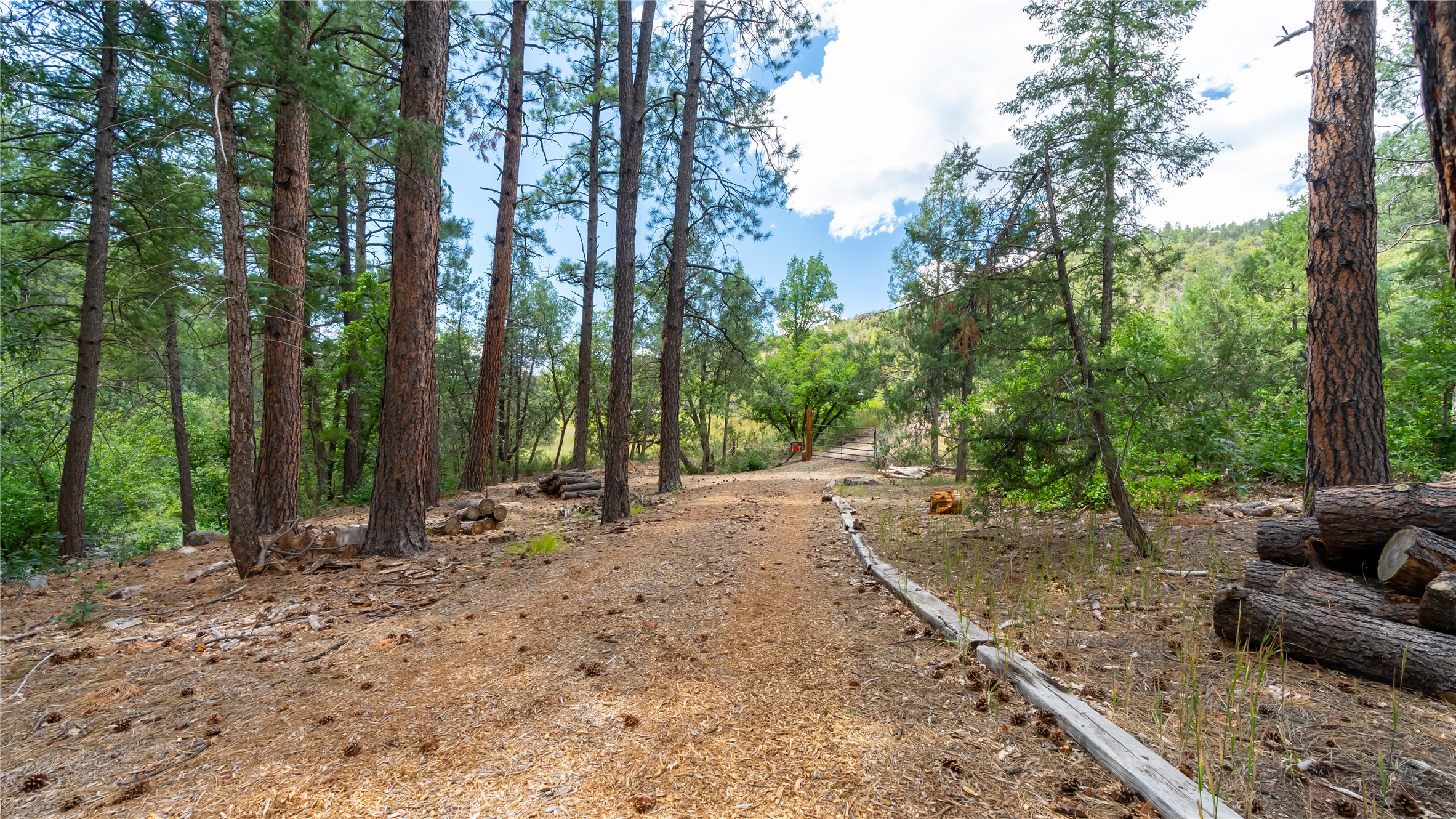 21374 Highway 4, Jemez Springs, New Mexico image 42