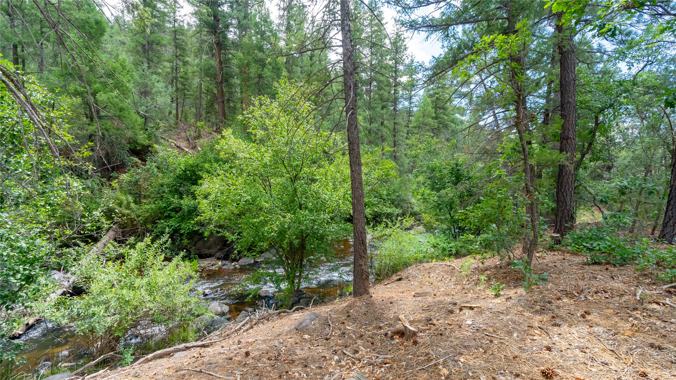 21374 Highway 4, Jemez Springs, New Mexico image 39