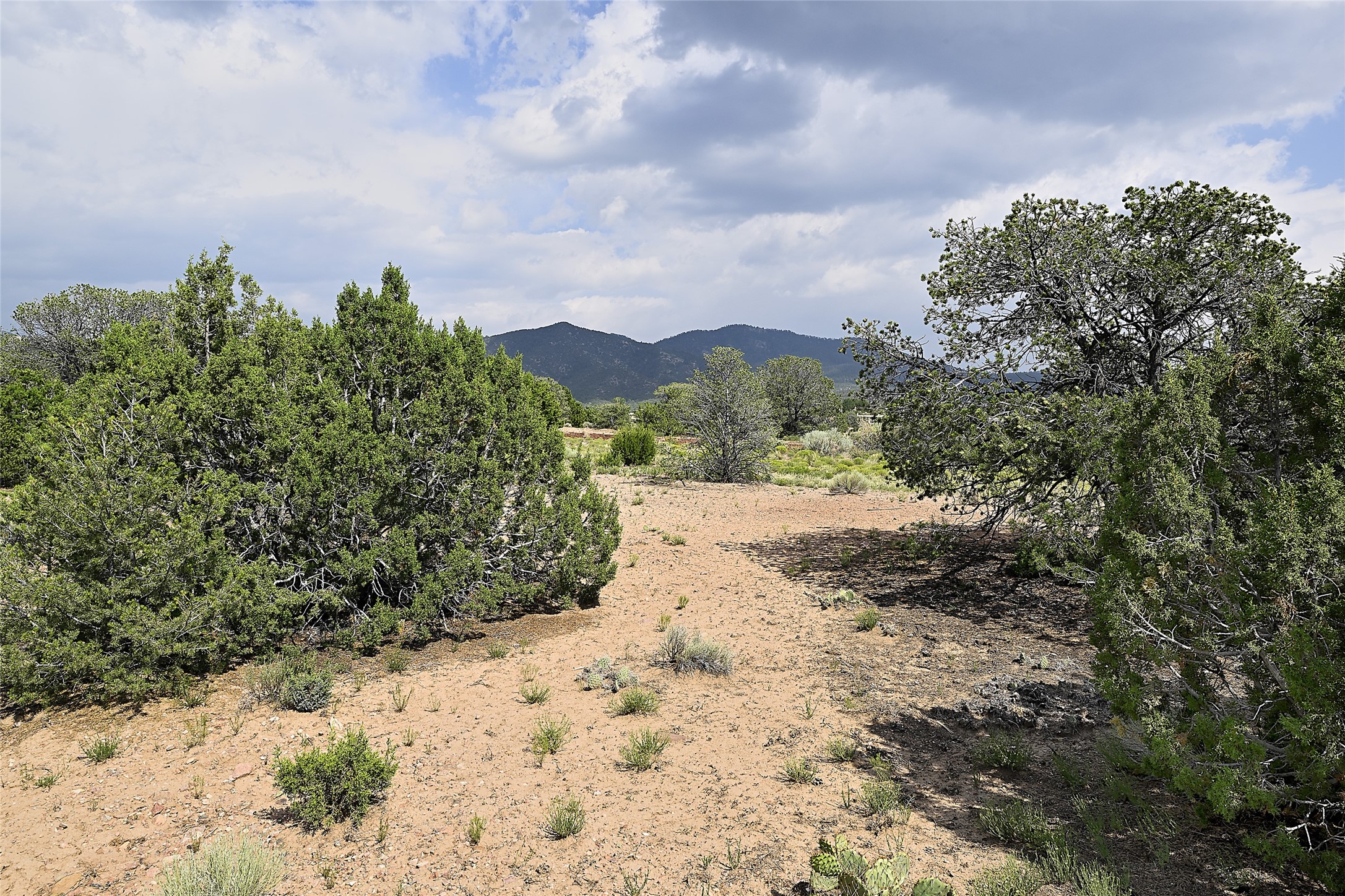 817 And 821 Vista Catedral #LOTS 105 AND 104, Santa Fe, New Mexico image 3