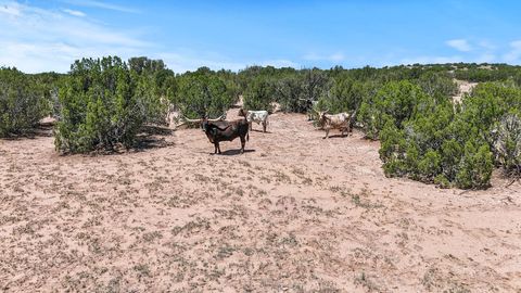 Tiny photo for 54 Anaya Spring #A, Santa Fe, NM 87508 (MLS # 202504041)