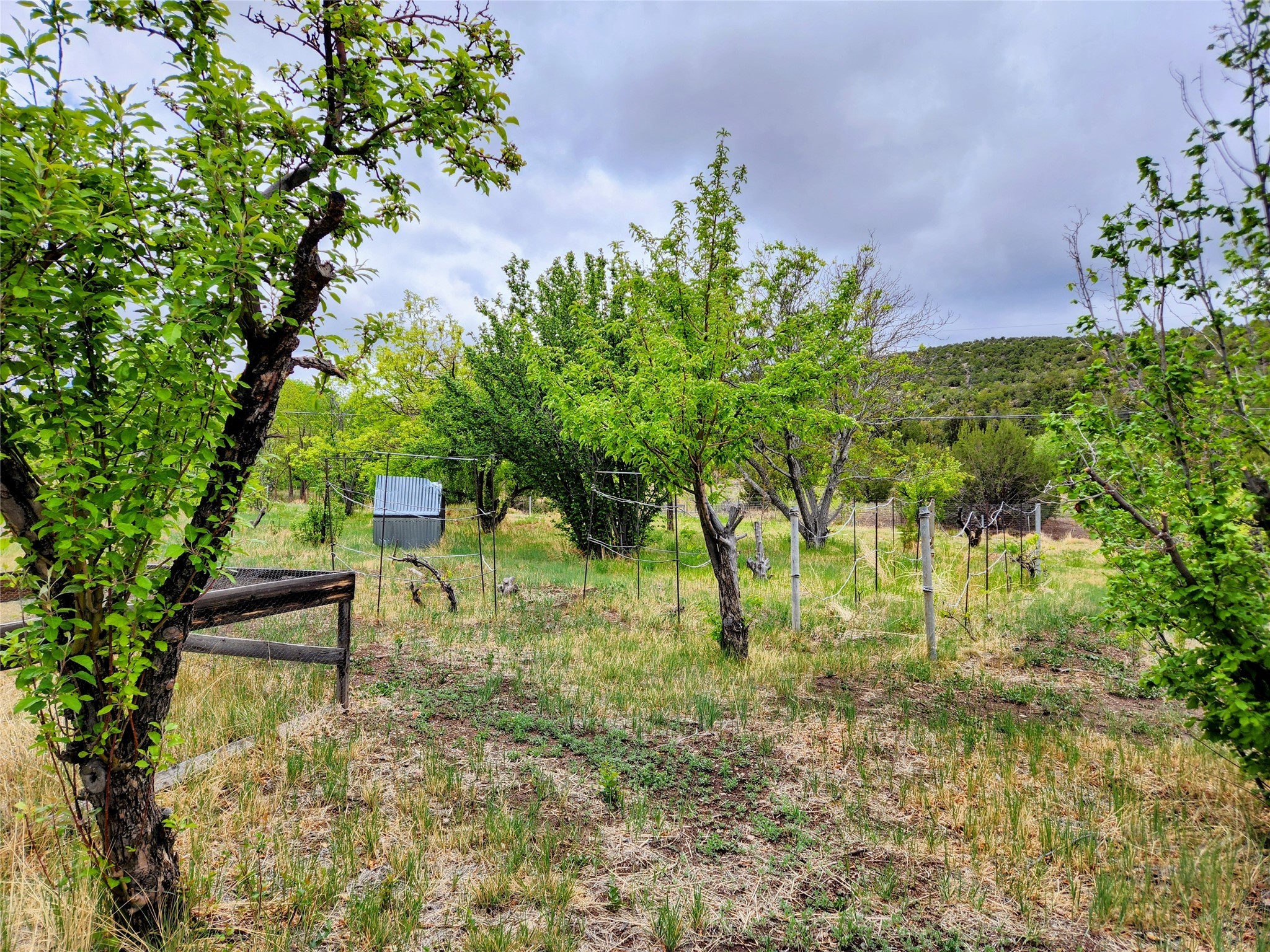 83 Paseo De San Antonio, Placitas, New Mexico image 34