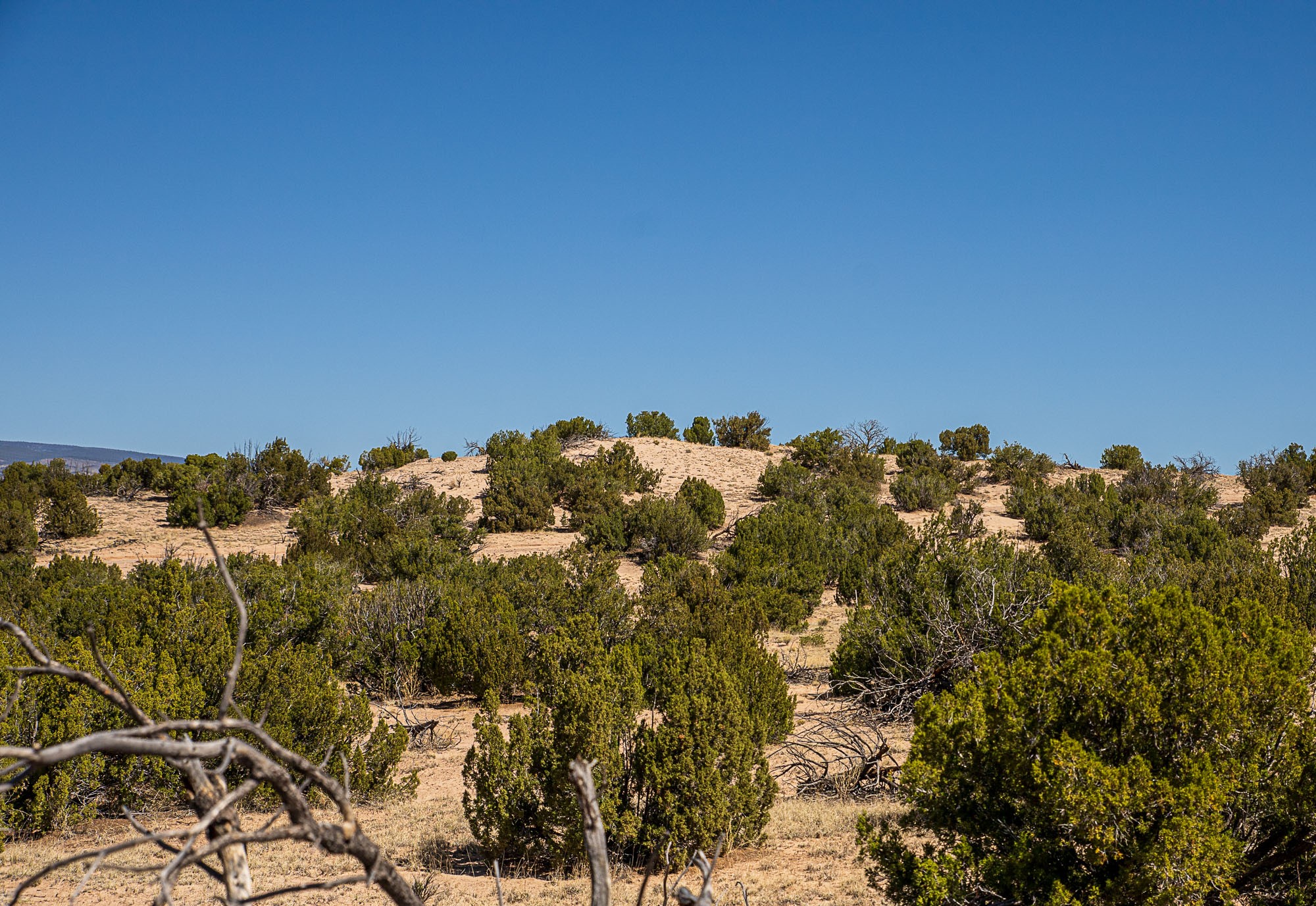 00 El Rito Estates, Abiquiu, New Mexico image 33