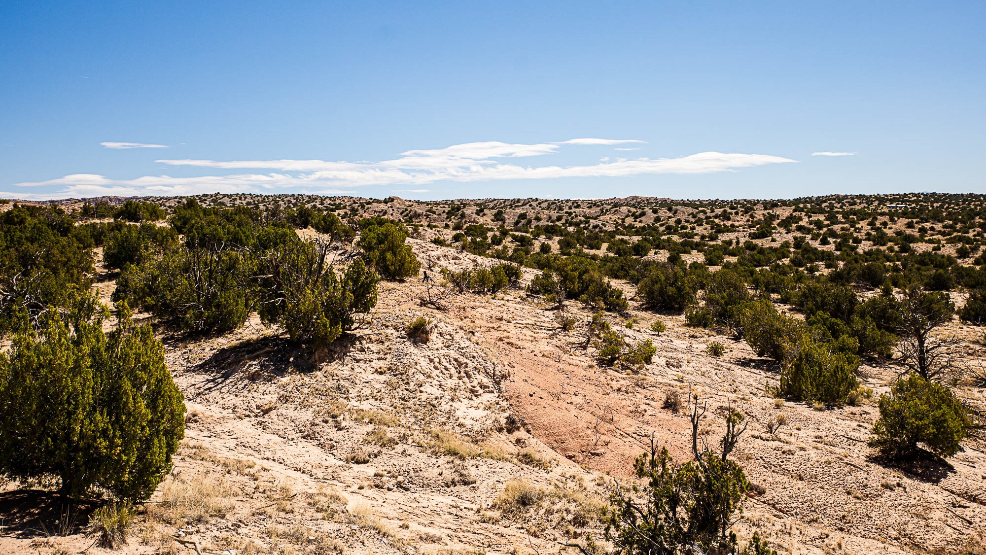 00 El Rito Estates, Abiquiu, New Mexico image 24