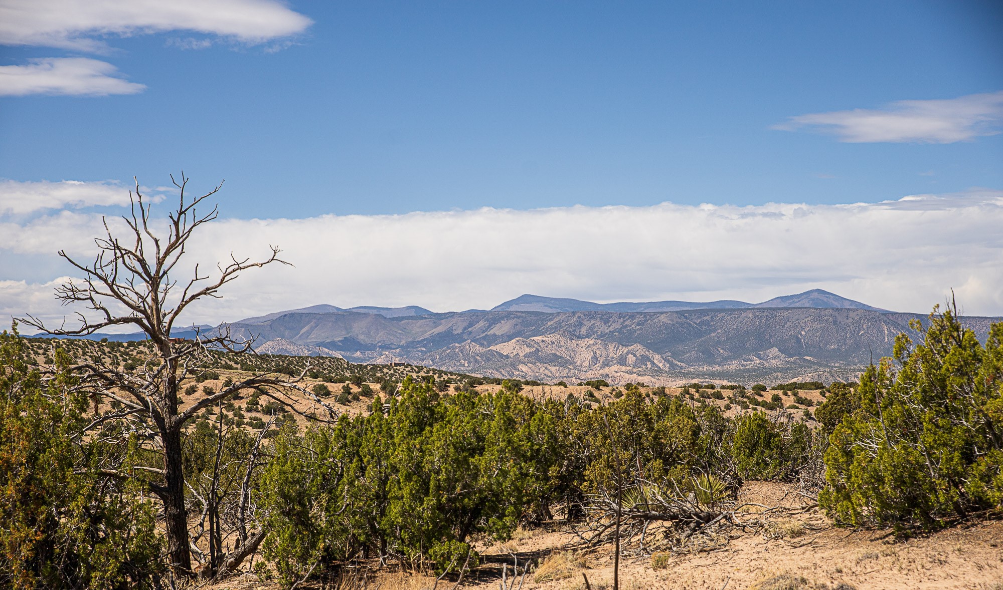 00 El Rito Estates, Abiquiu, New Mexico image 6
