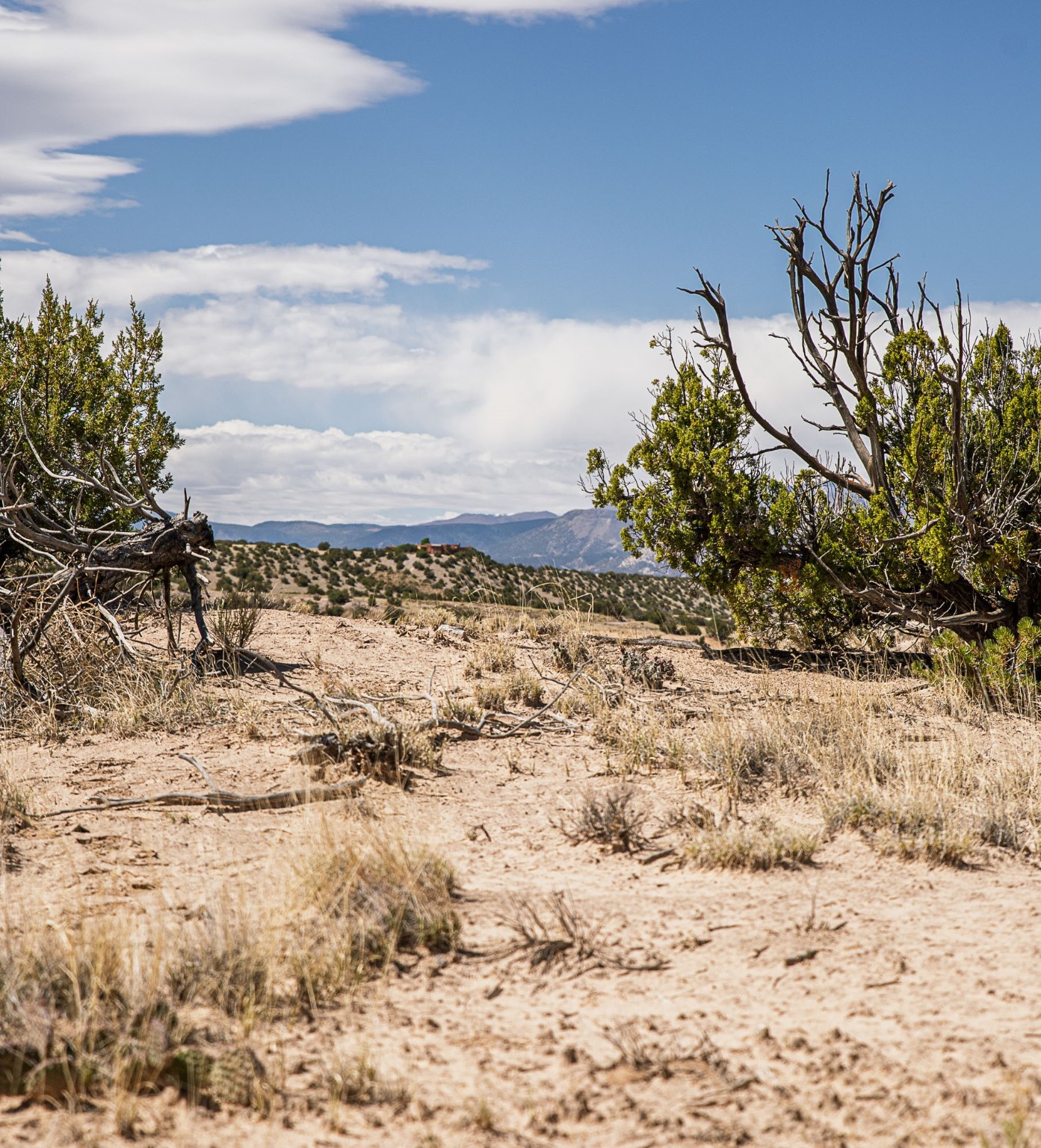 00 El Rito Estates, Abiquiu, New Mexico image 30