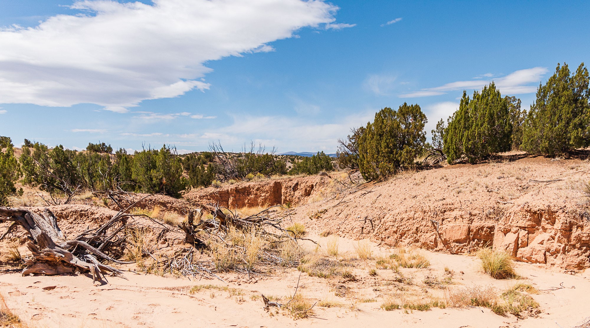 00 El Rito Estates, Abiquiu, New Mexico image 43