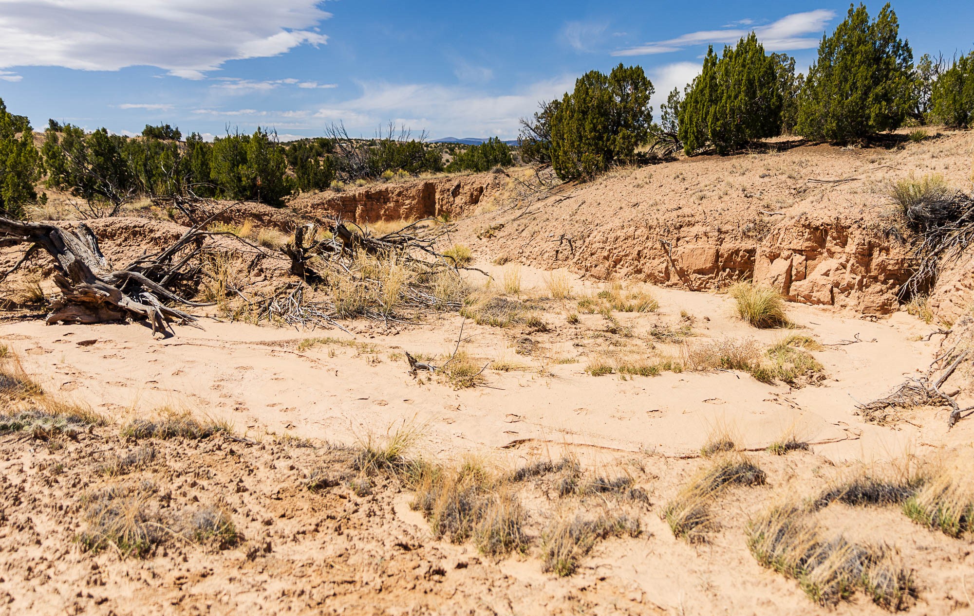 00 El Rito Estates, Abiquiu, New Mexico image 44