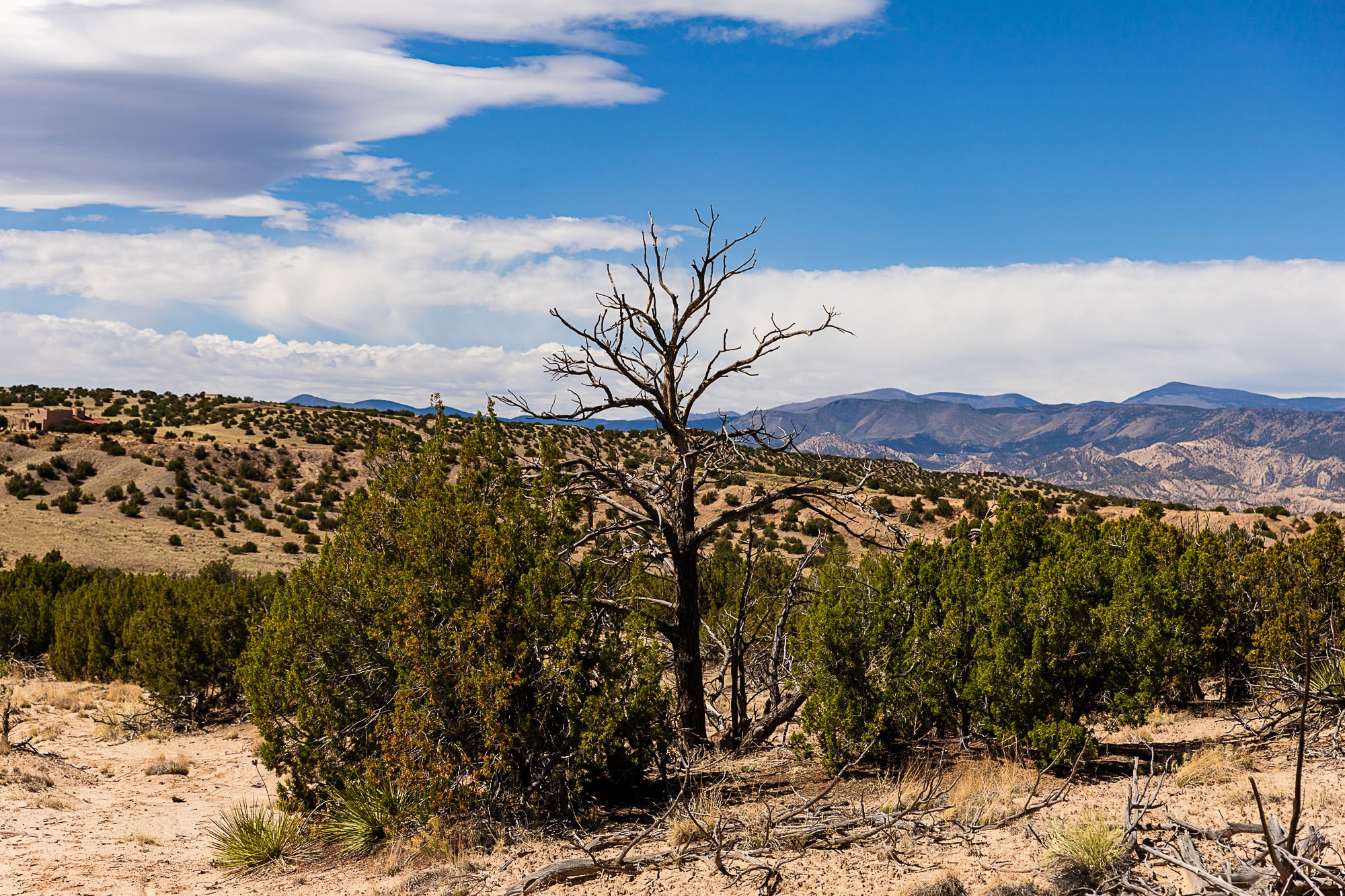 00 El Rito Estates, Abiquiu, New Mexico image 7