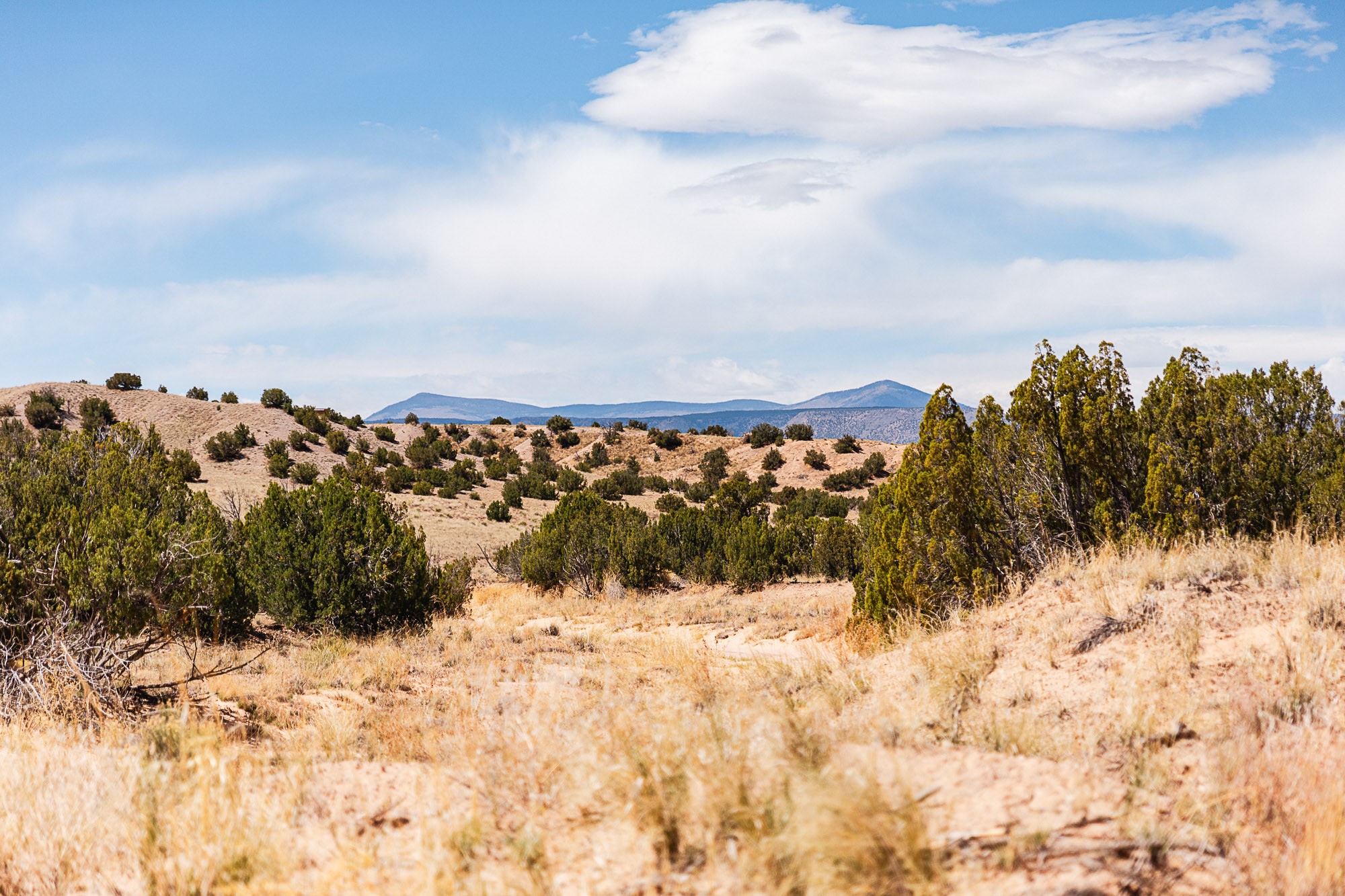 00 El Rito Estates, Abiquiu, New Mexico image 10