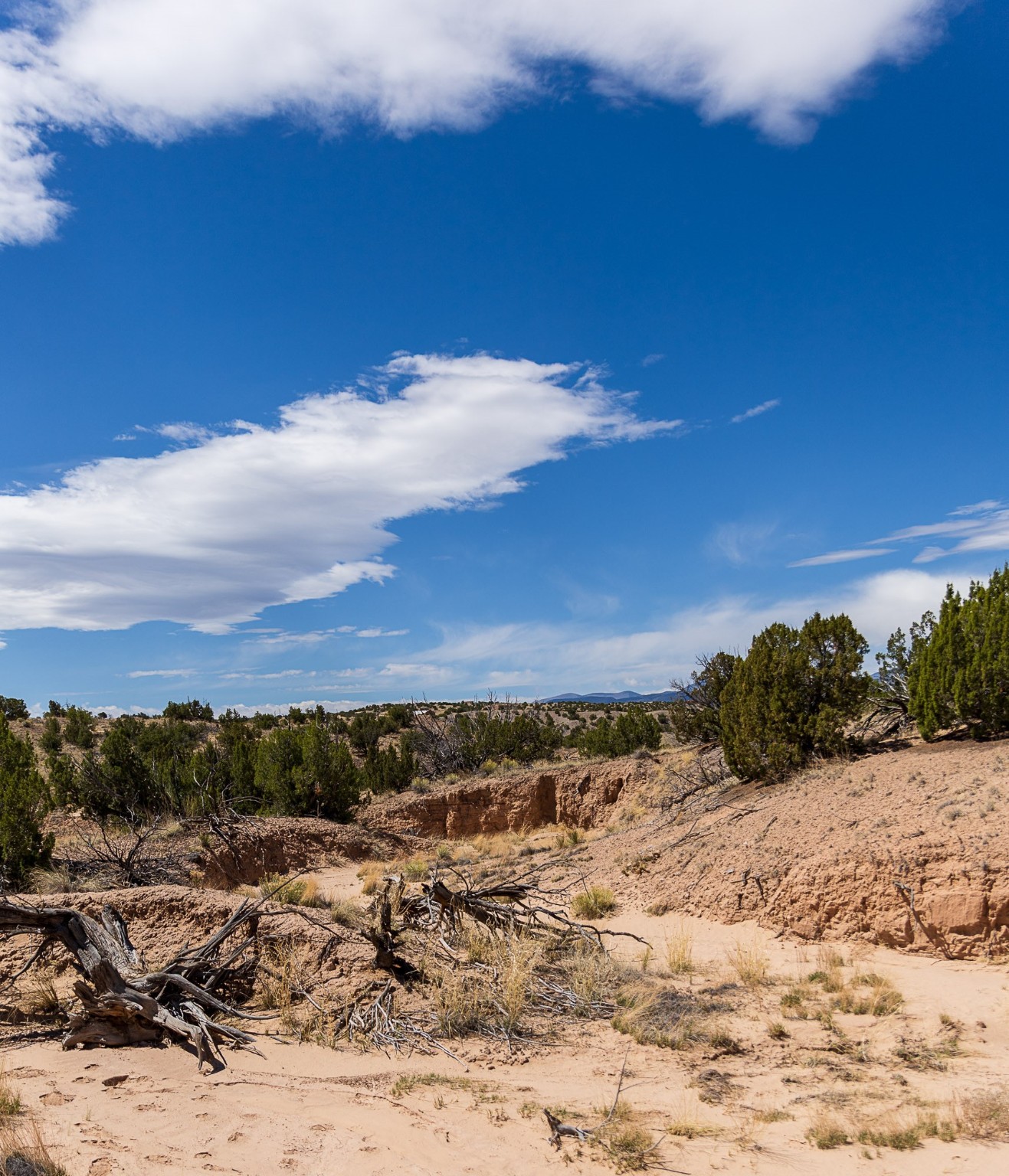 00 El Rito Estates, Abiquiu, New Mexico image 46