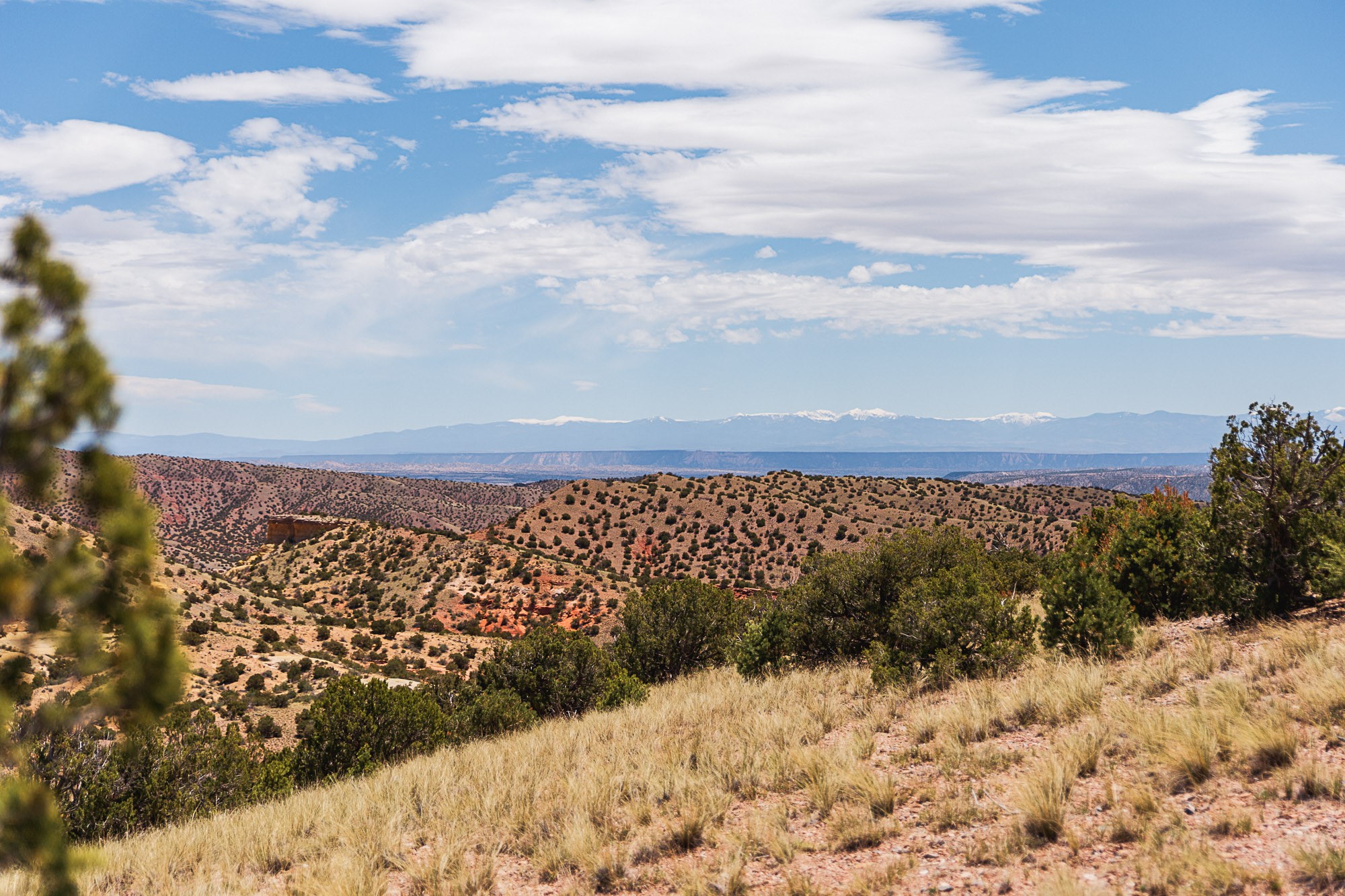 00 El Rito Estates, Abiquiu, New Mexico image 16