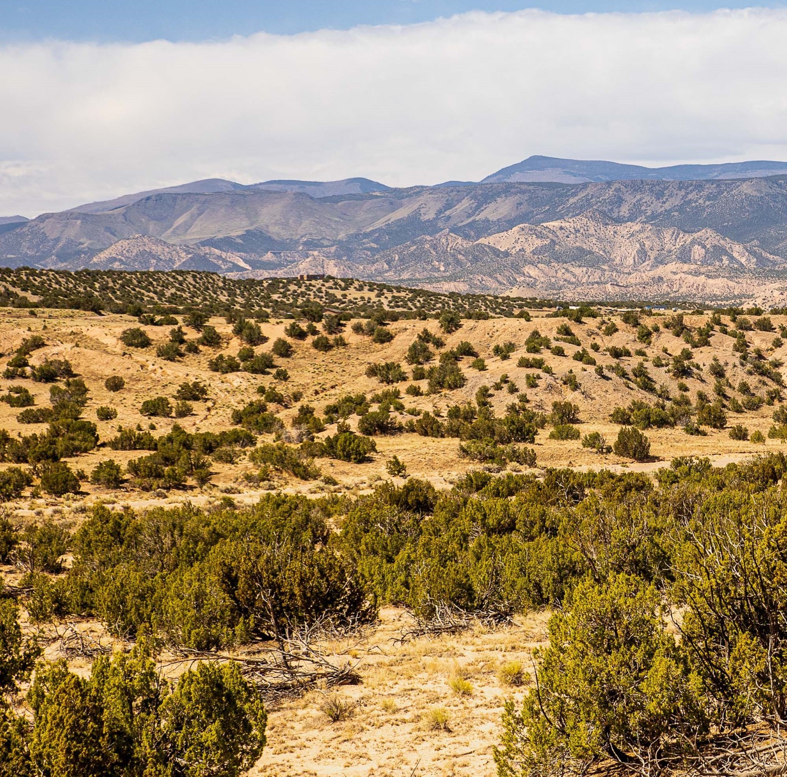 00 El Rito Estates, Abiquiu, New Mexico image 35