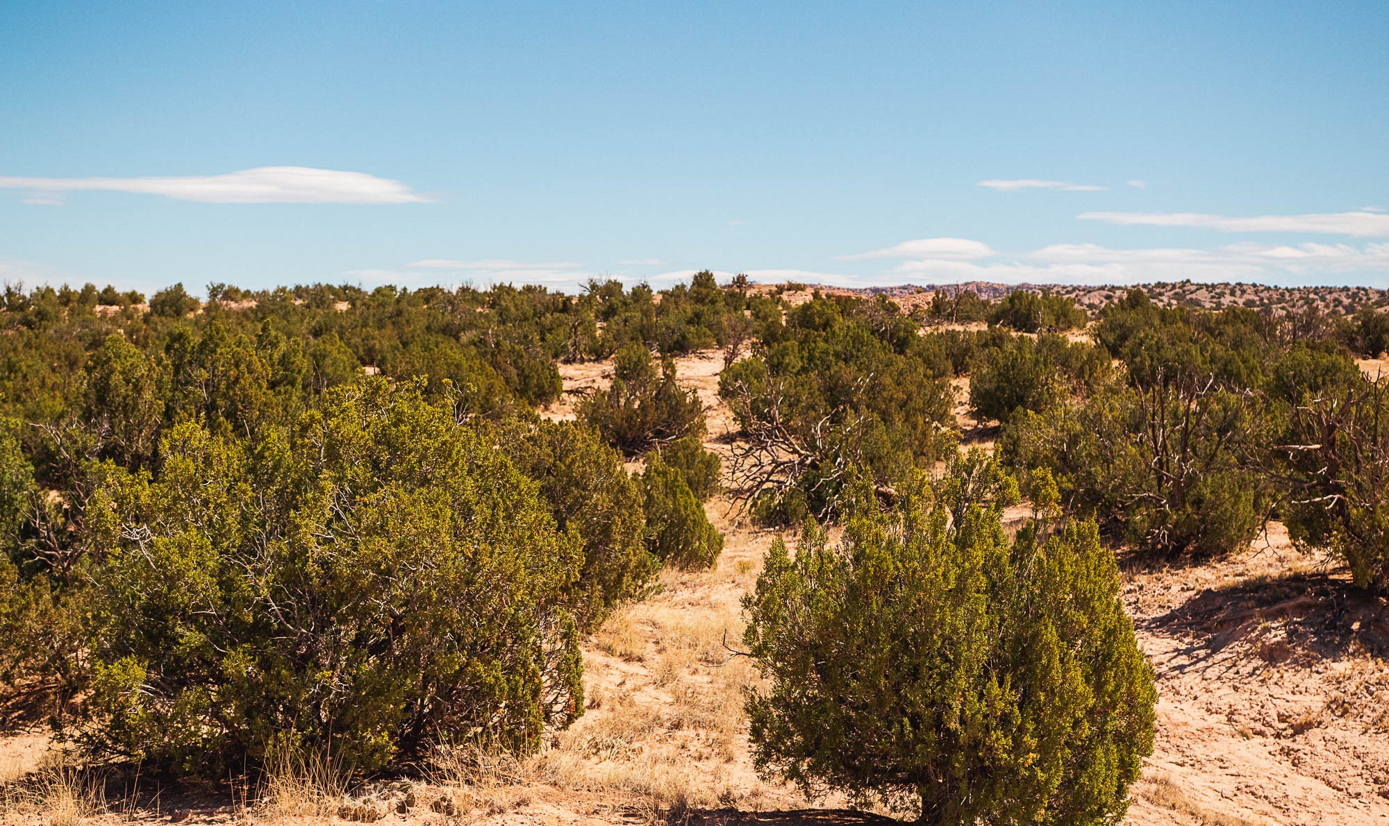 00 El Rito Estates, Abiquiu, New Mexico image 34