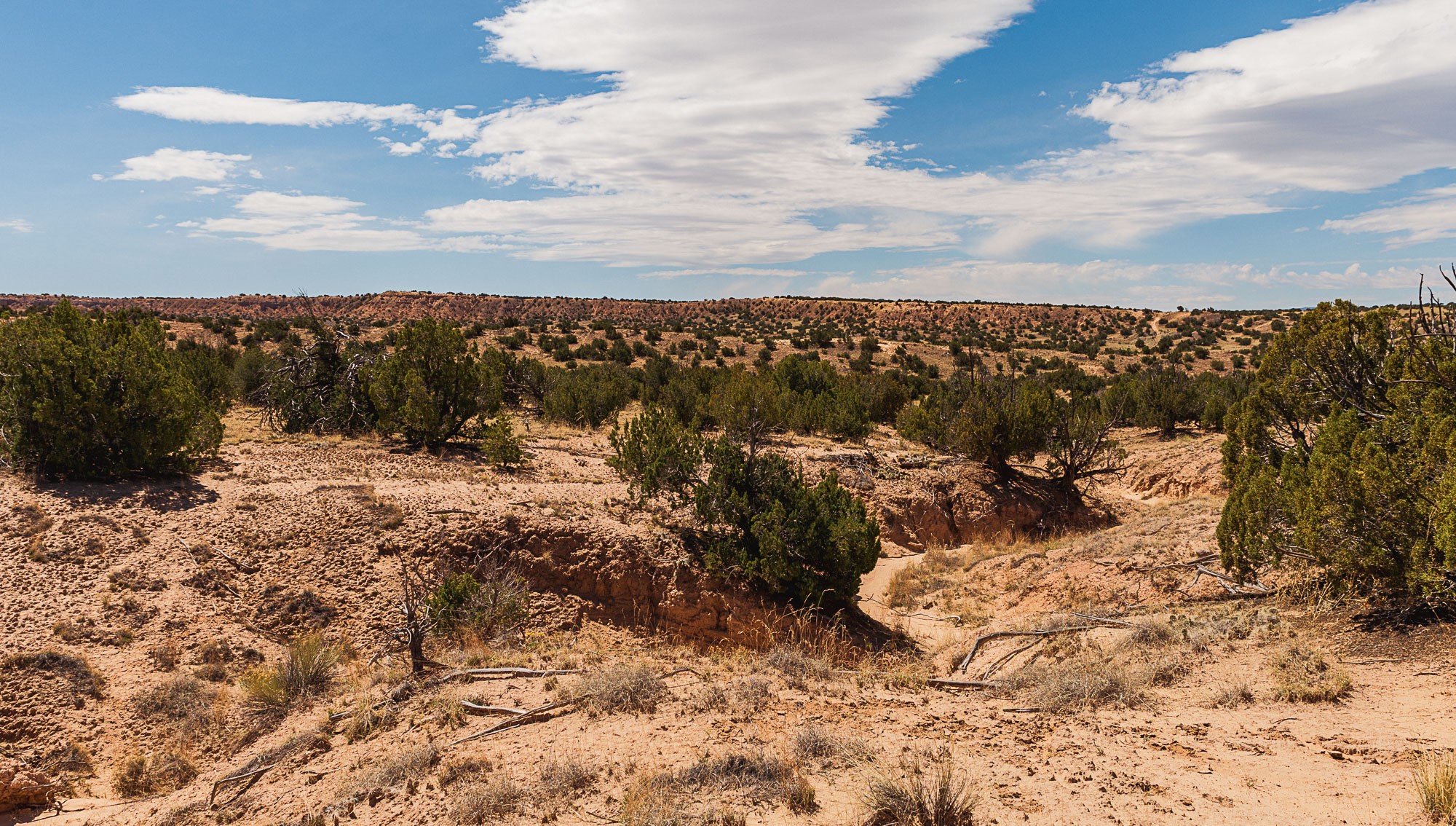 00 El Rito Estates, Abiquiu, New Mexico image 26