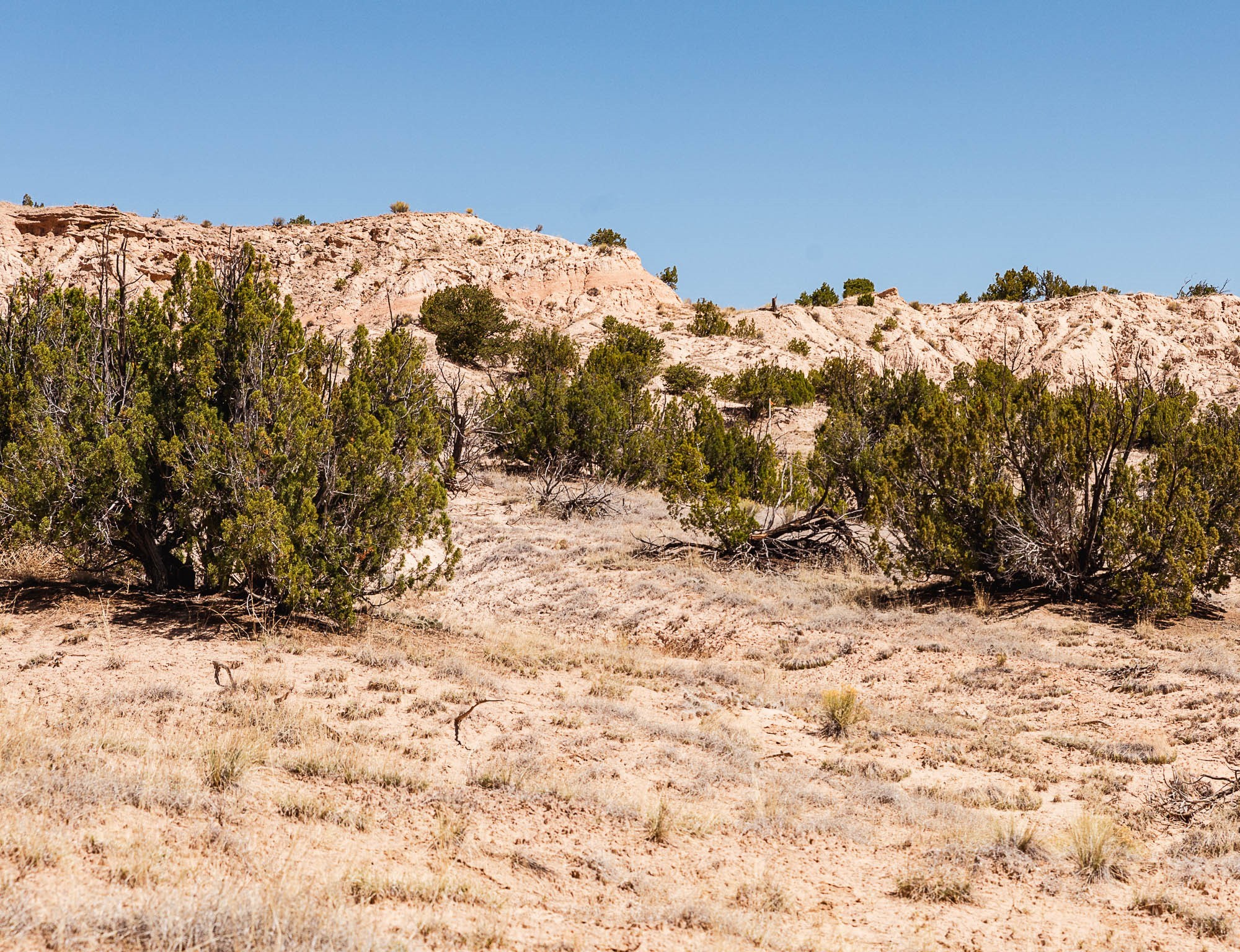 00 El Rito Estates, Abiquiu, New Mexico image 19