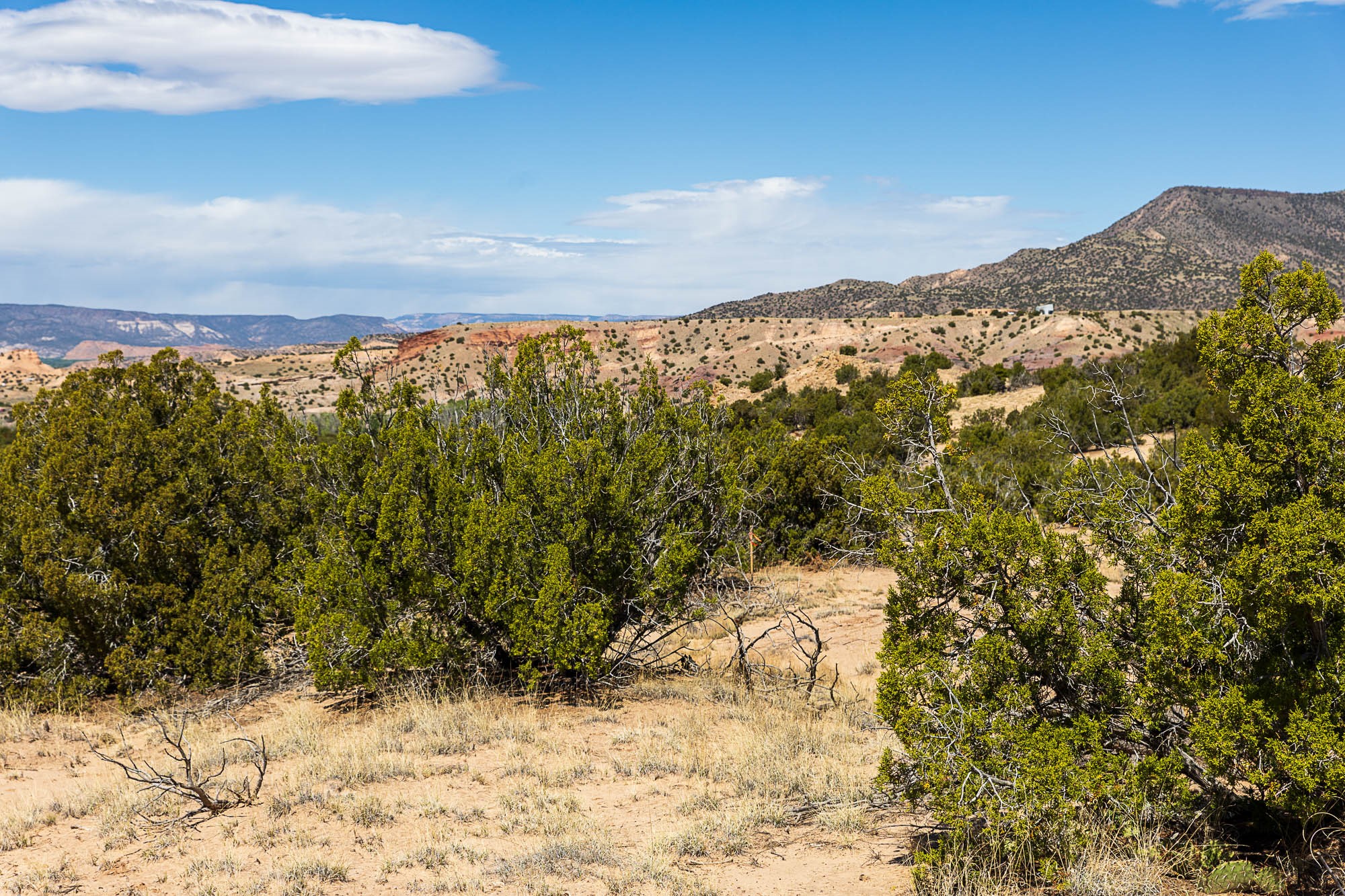00 El Rito Estates, Abiquiu, New Mexico image 41