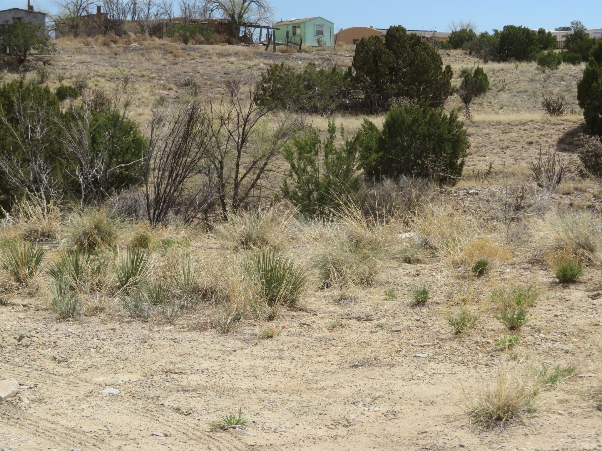 Unassigned Nm 14 #3100 BLOCK OF NM 14, Cerrillos, New Mexico image 15