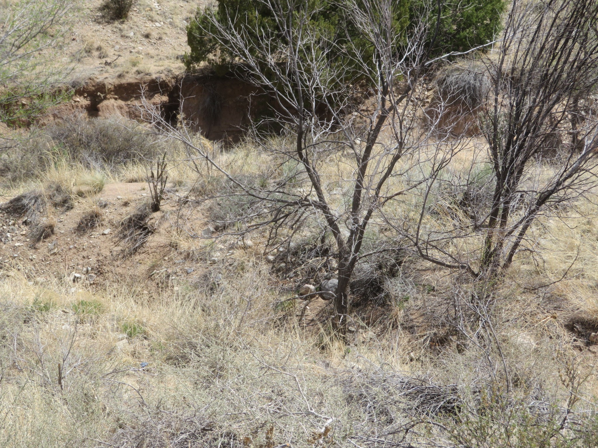 Unassigned Nm 14 #3100 BLOCK OF NM 14, Cerrillos, New Mexico image 10