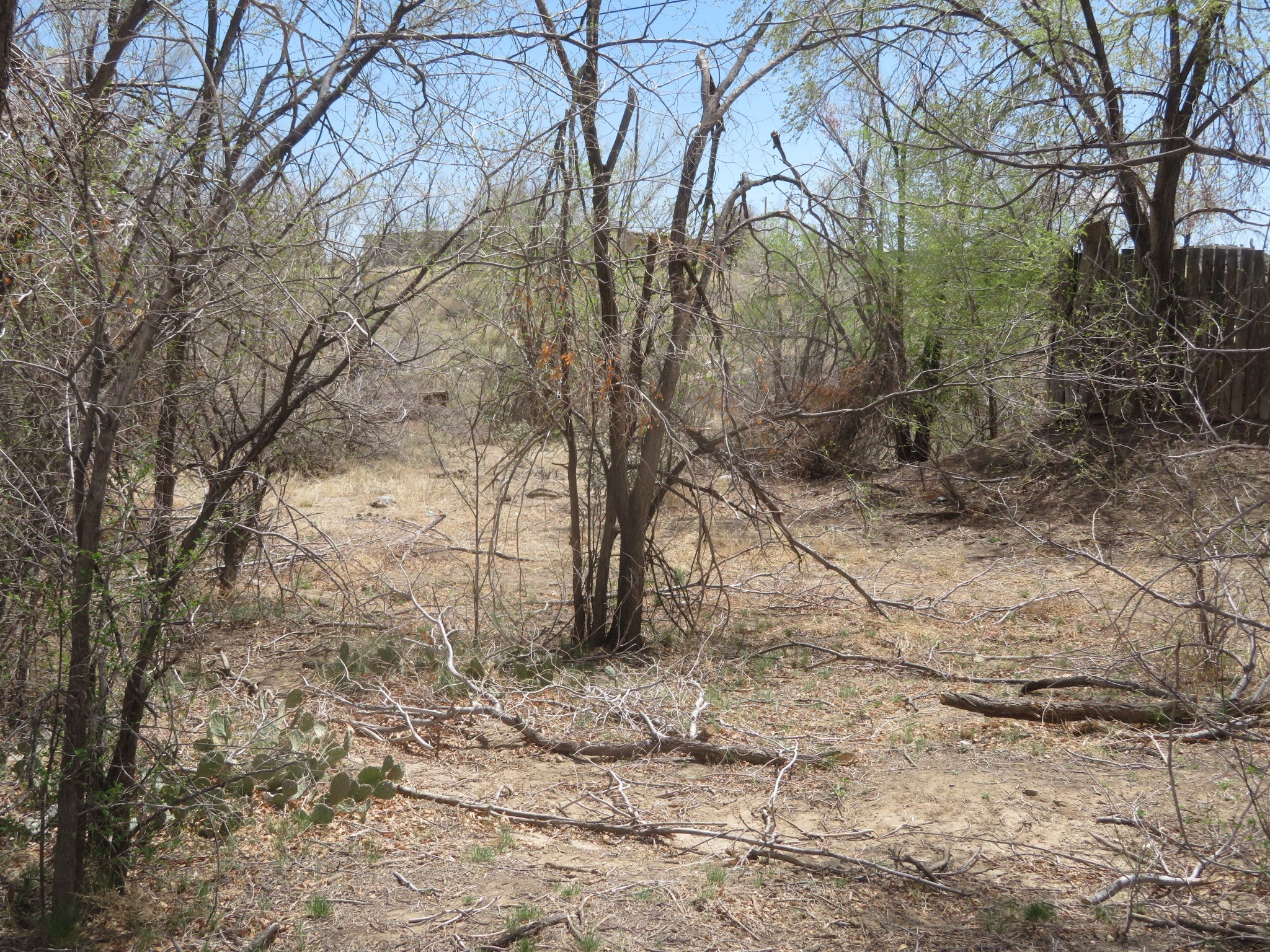 Unassigned Nm 14 #3100 BLOCK OF NM 14, Cerrillos, New Mexico image 5