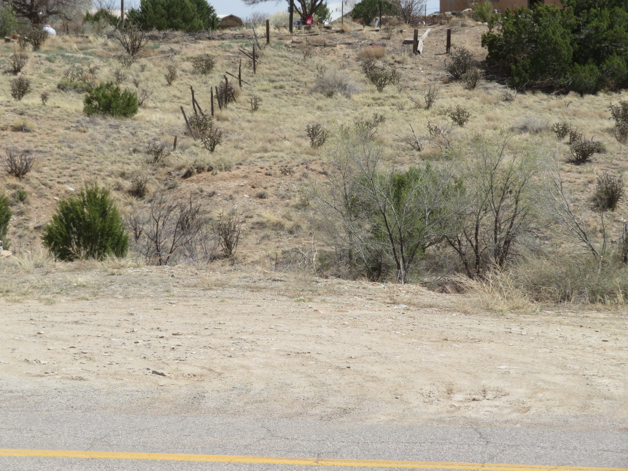 Unassigned Nm 14 #3100 BLOCK OF NM 14, Cerrillos, New Mexico image 6