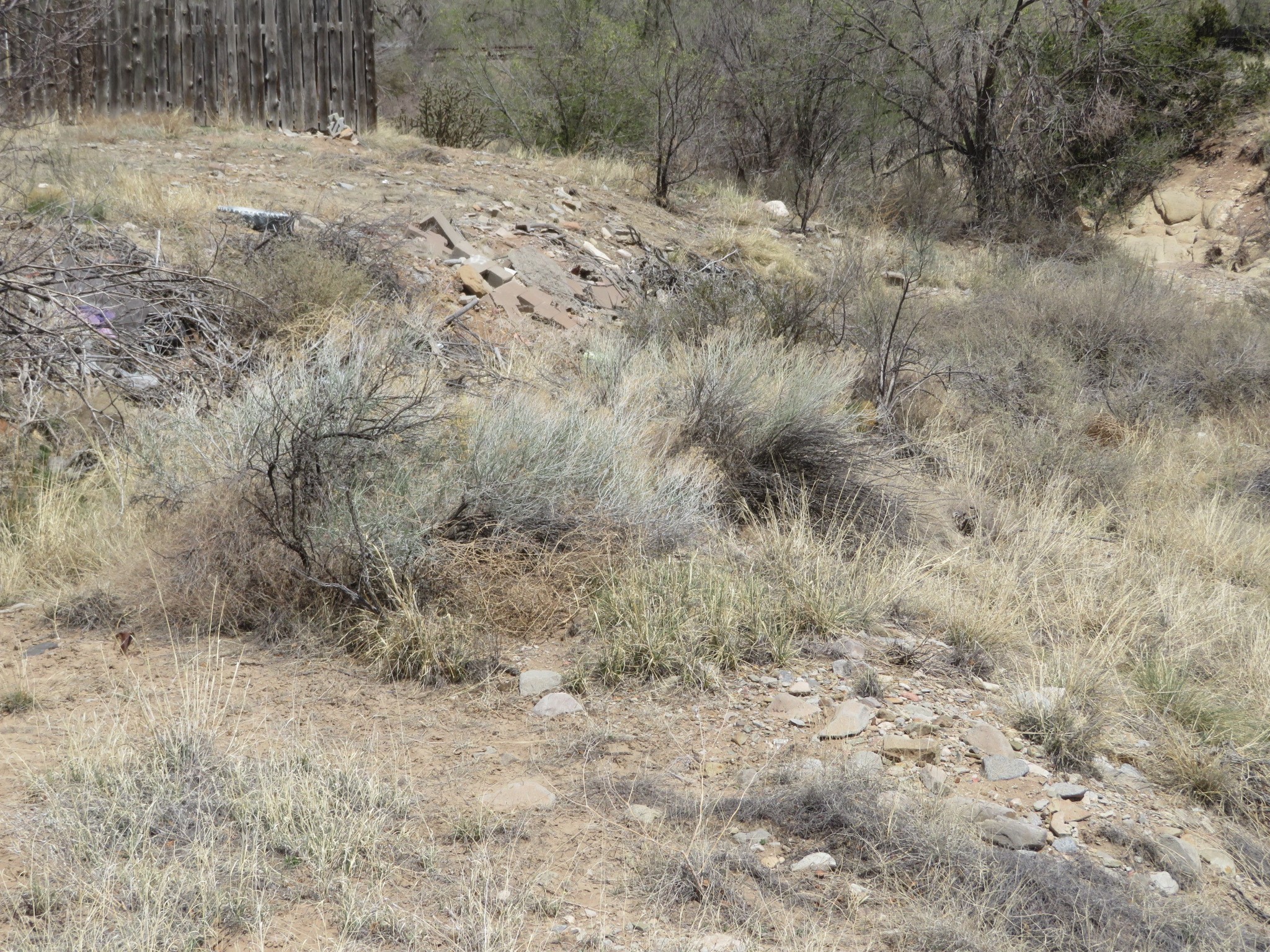 Unassigned Nm 14 #3100 BLOCK OF NM 14, Cerrillos, New Mexico image 11