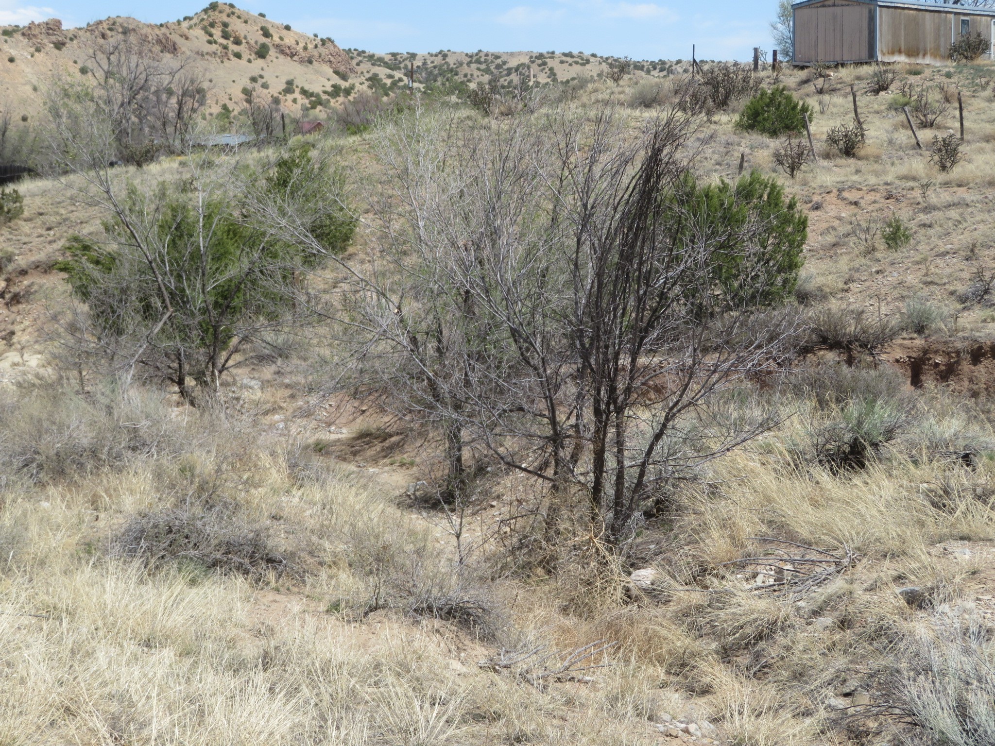 Unassigned Nm 14 #3100 BLOCK OF NM 14, Cerrillos, New Mexico image 20