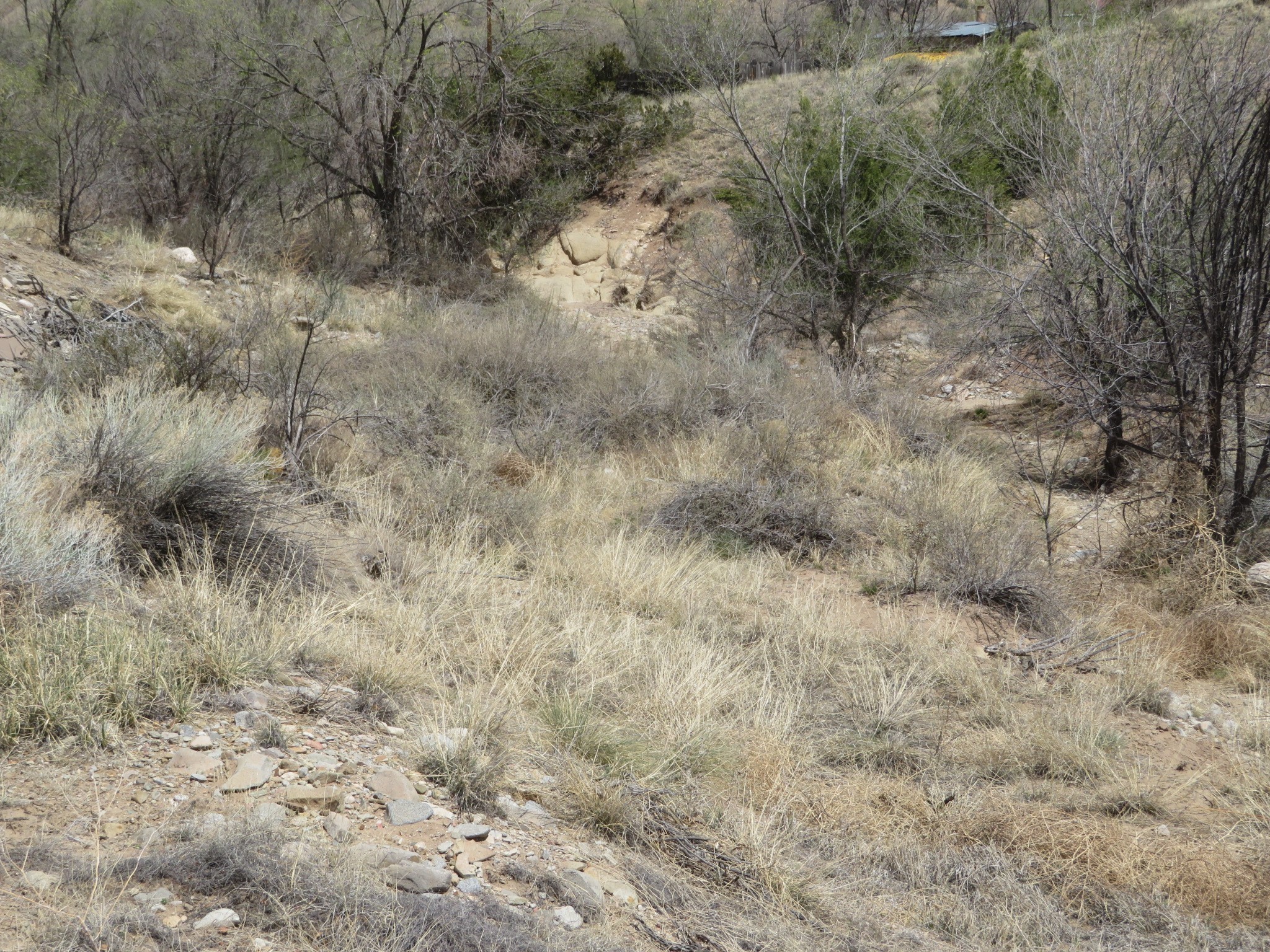 Unassigned Nm 14 #3100 BLOCK OF NM 14, Cerrillos, New Mexico image 3