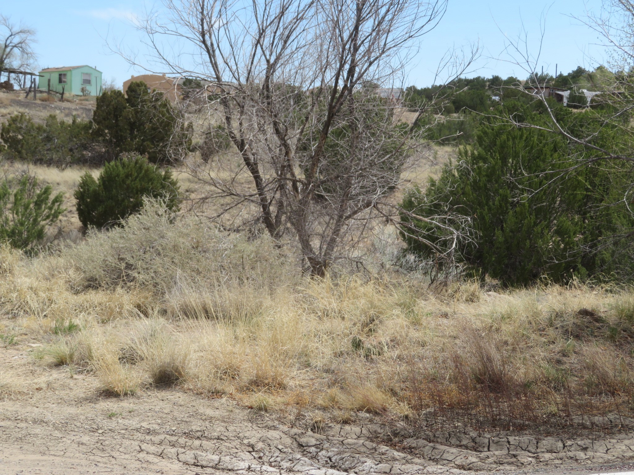 Unassigned Nm 14 #3100 BLOCK OF NM 14, Cerrillos, New Mexico image 8
